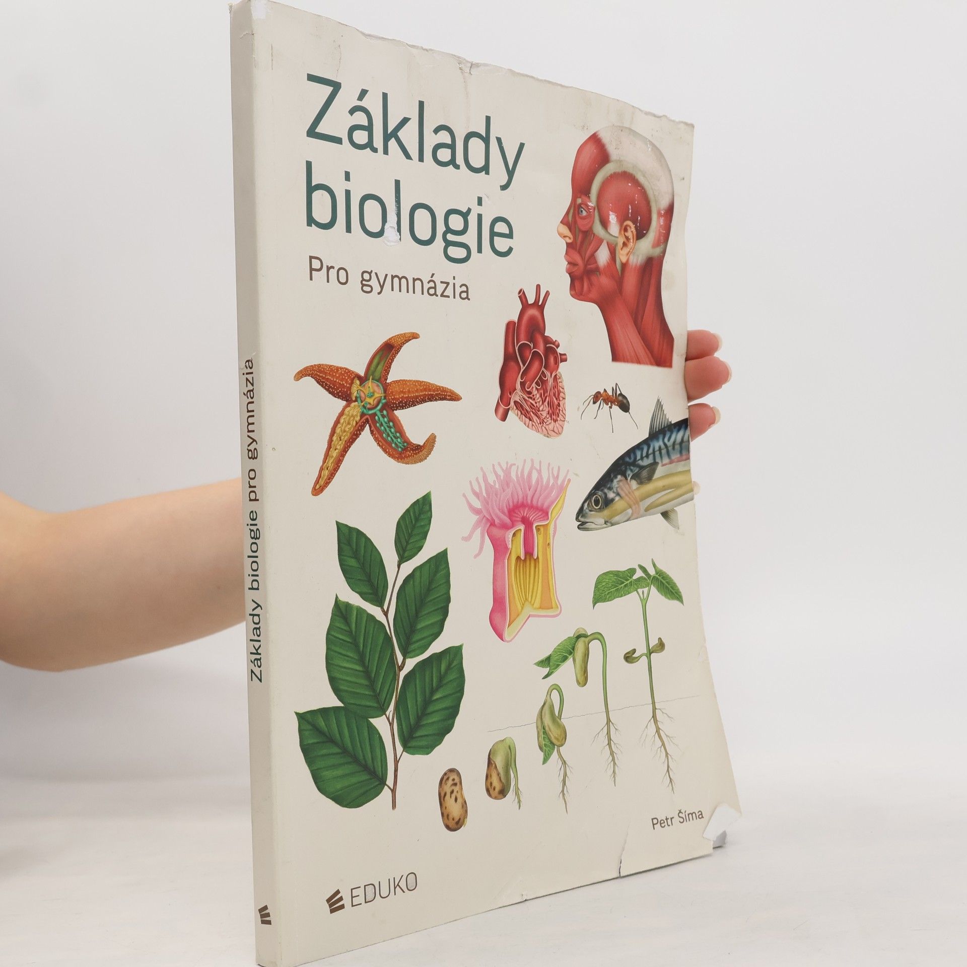 Základy biologie. Pro gymnázia