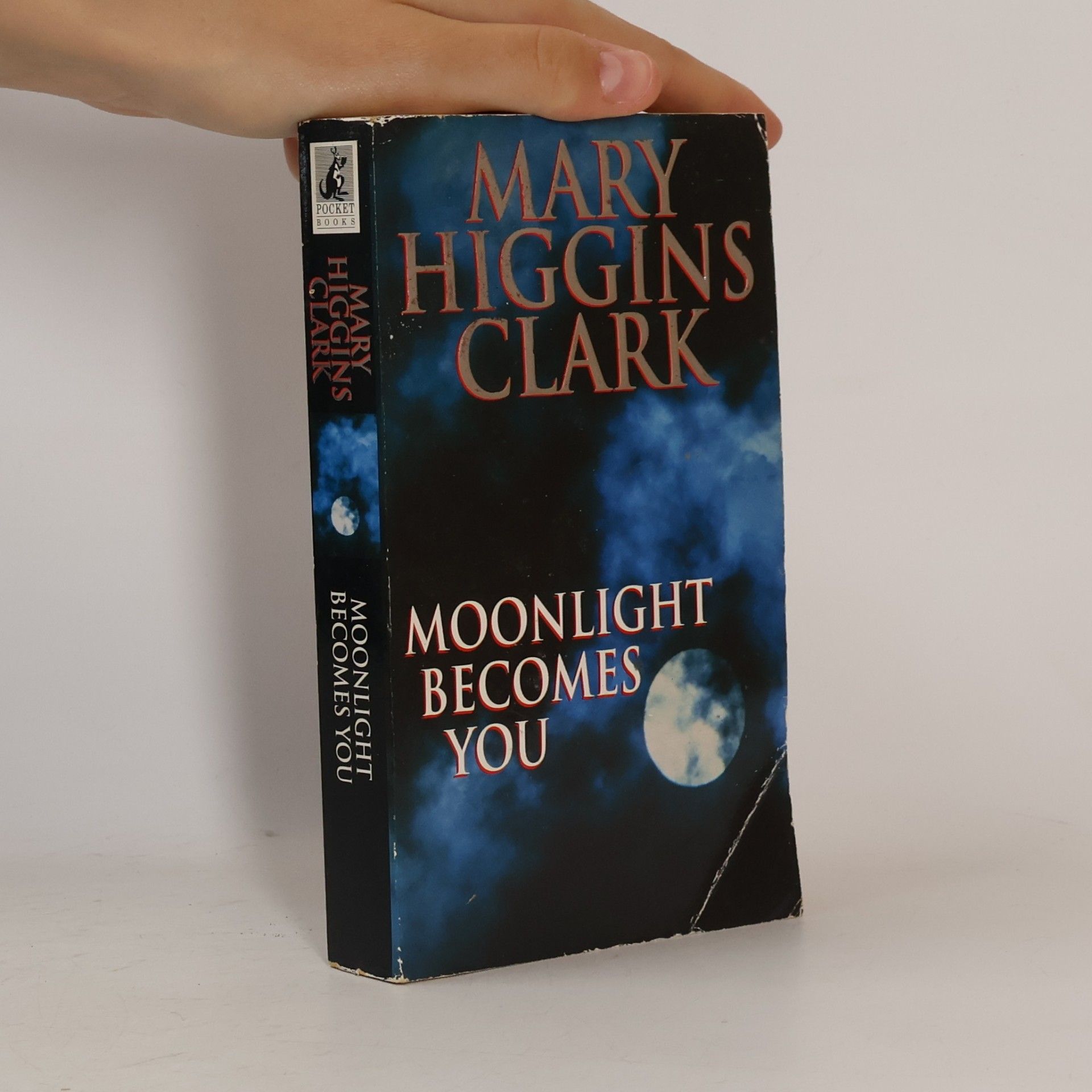 Mary Higginsová Clarková Moonlight Becomes You