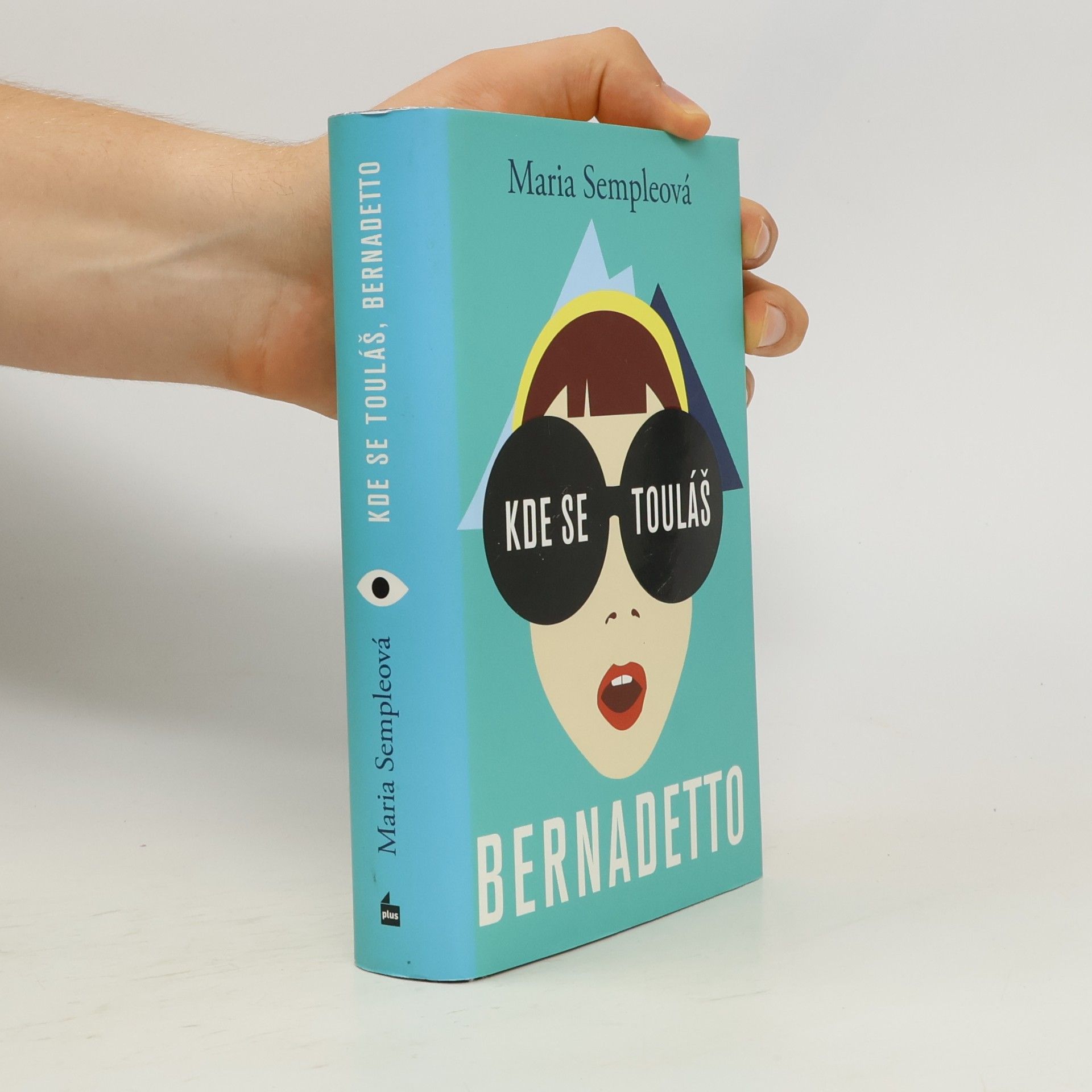 Maria Semple Kde se touláš, Bernadetto
