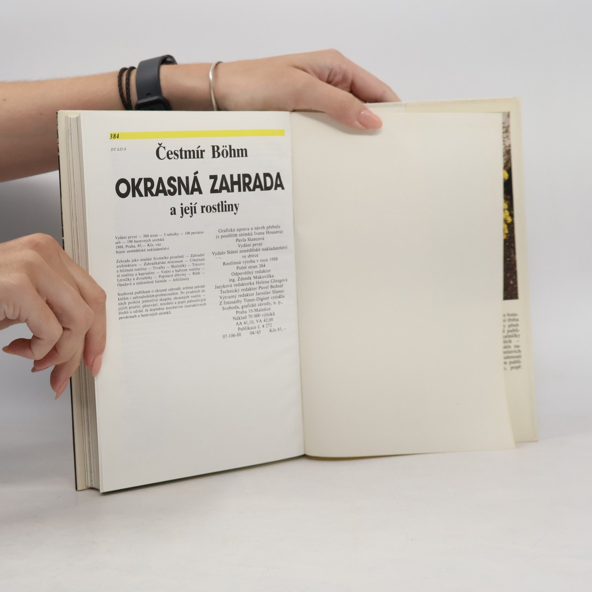Čestmír Böhm Okrasná zahrada a její rostliny