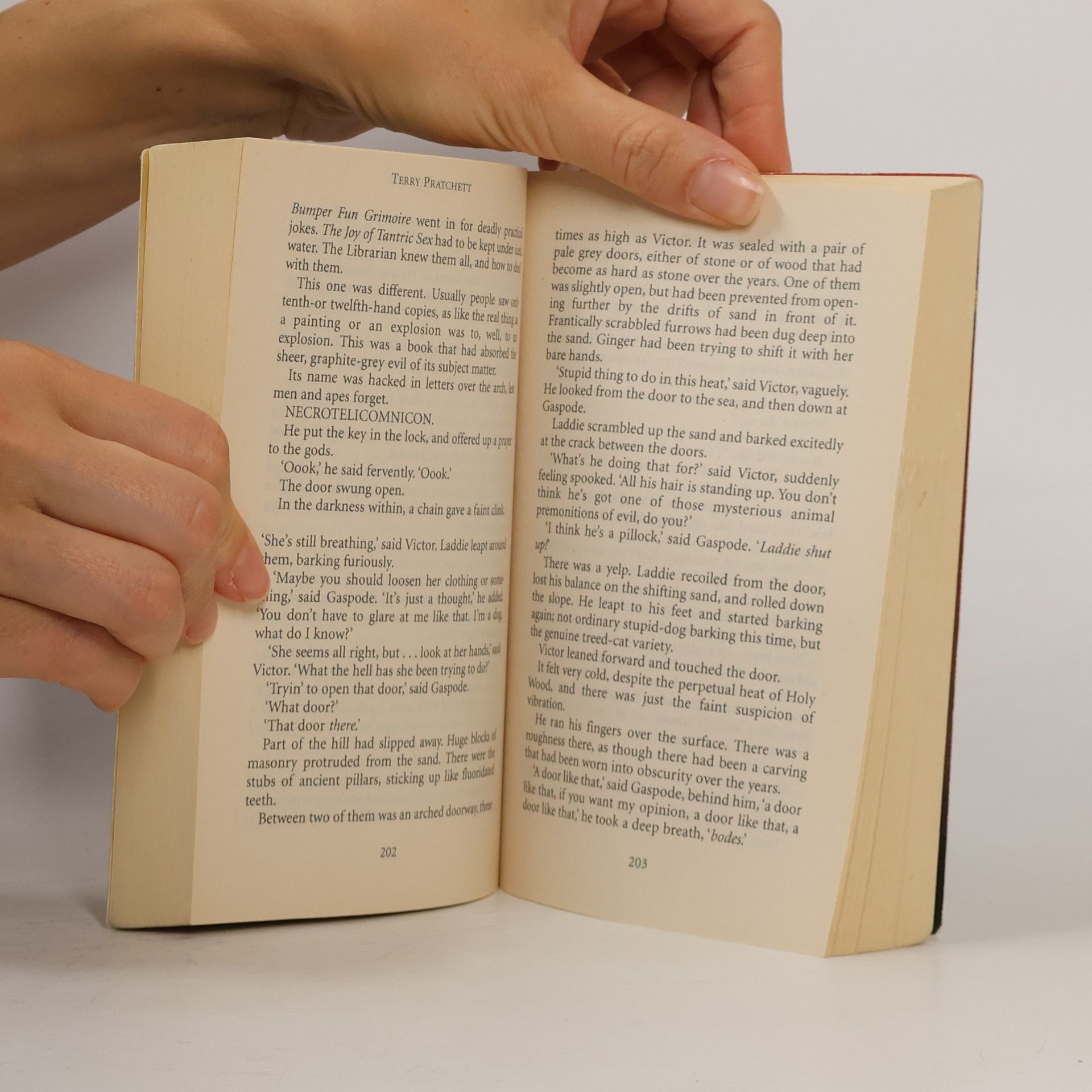Terry Pratchett Moving pictures