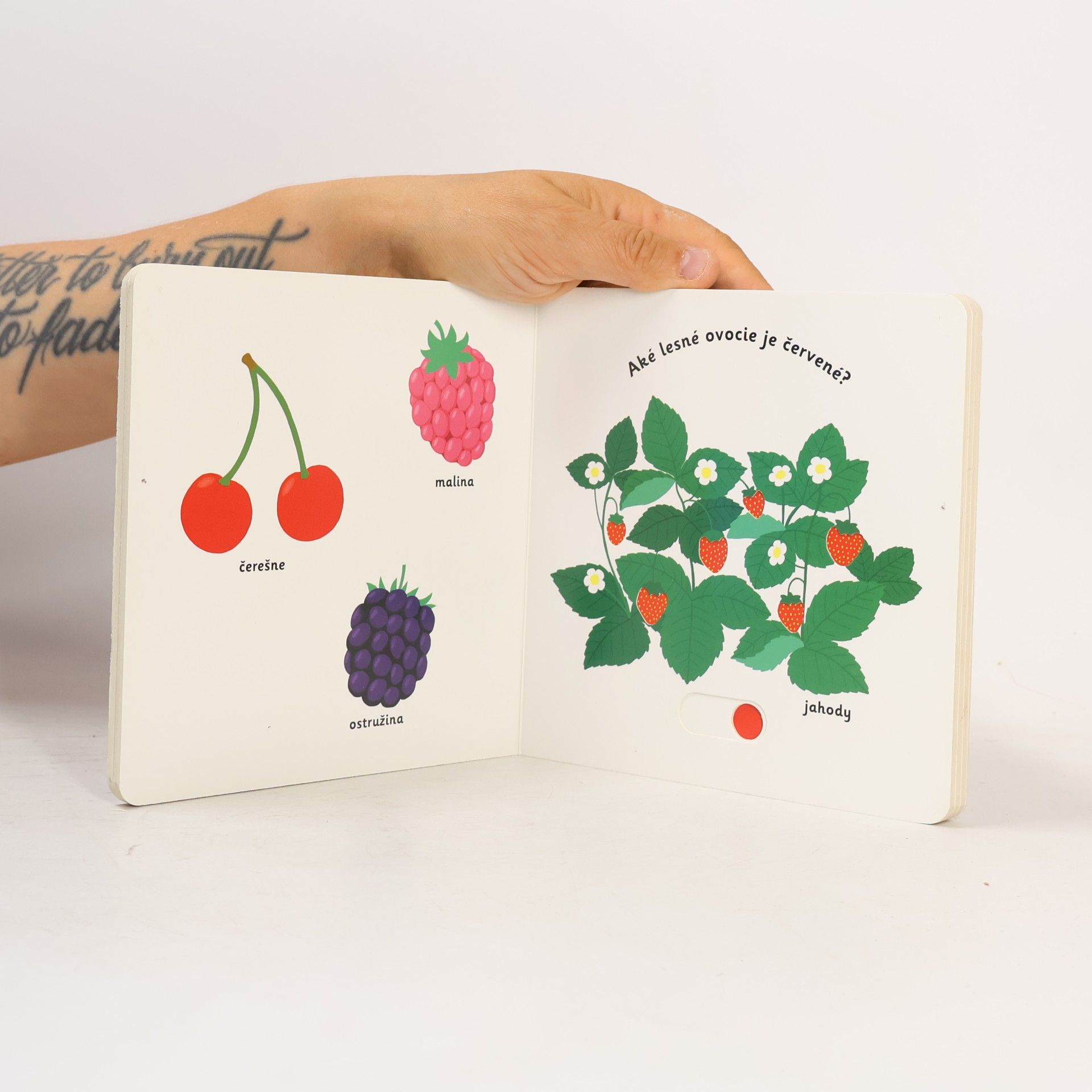 Various authors Objavujeme svet! Ovocie