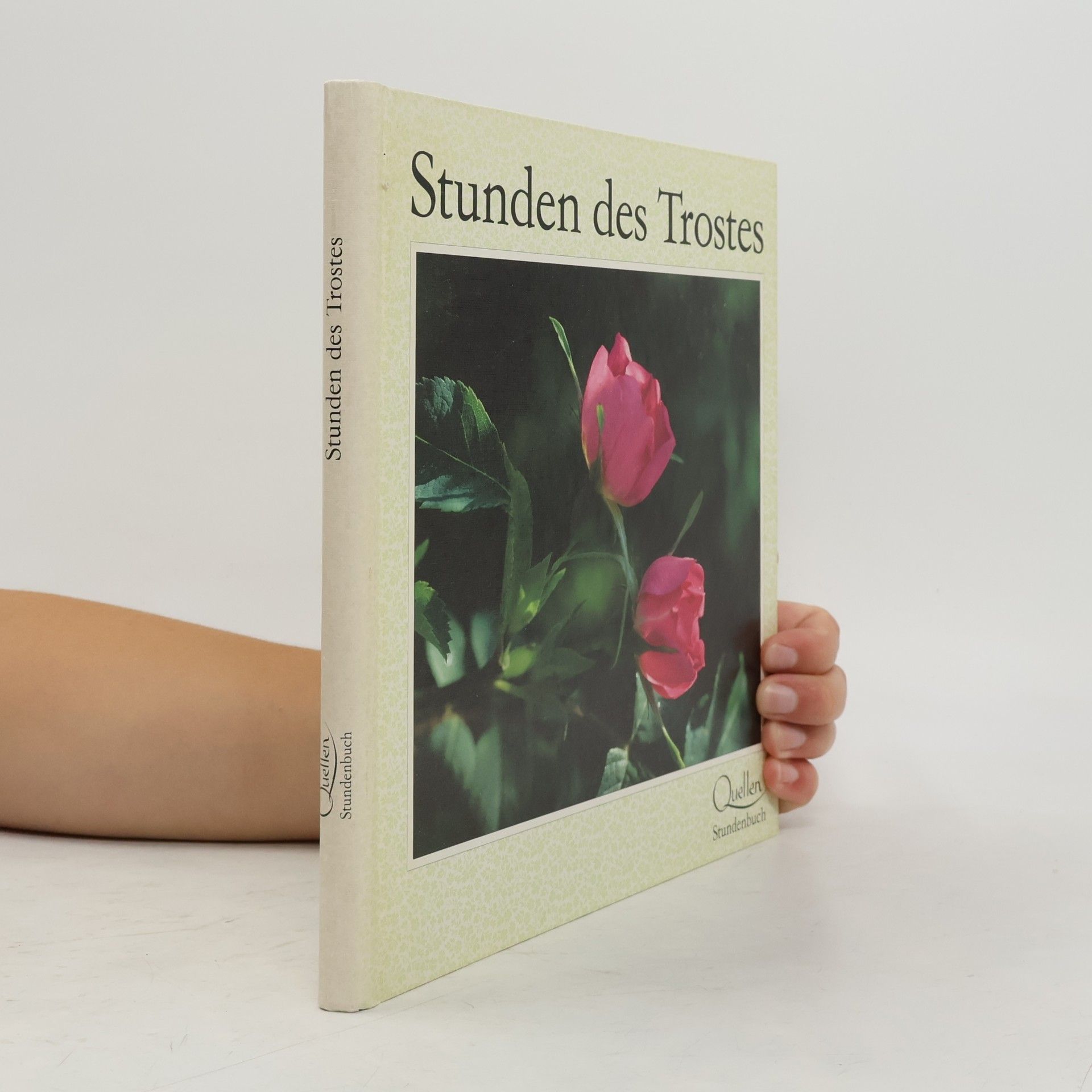 Eugen Hettinger Stunden des Trostes