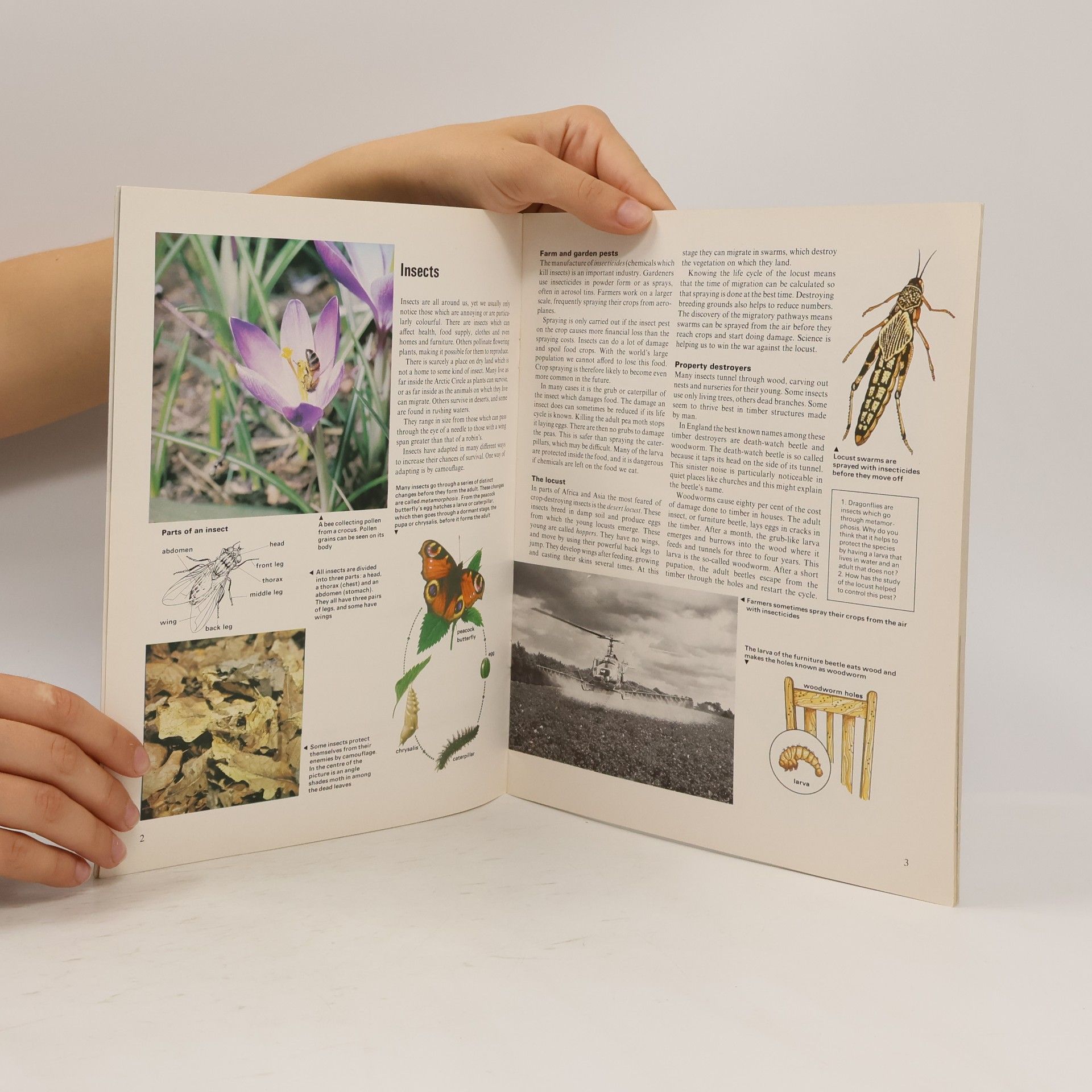 Mike Sanderson Biology Colour Units: Helpful And Harmful Organisms
