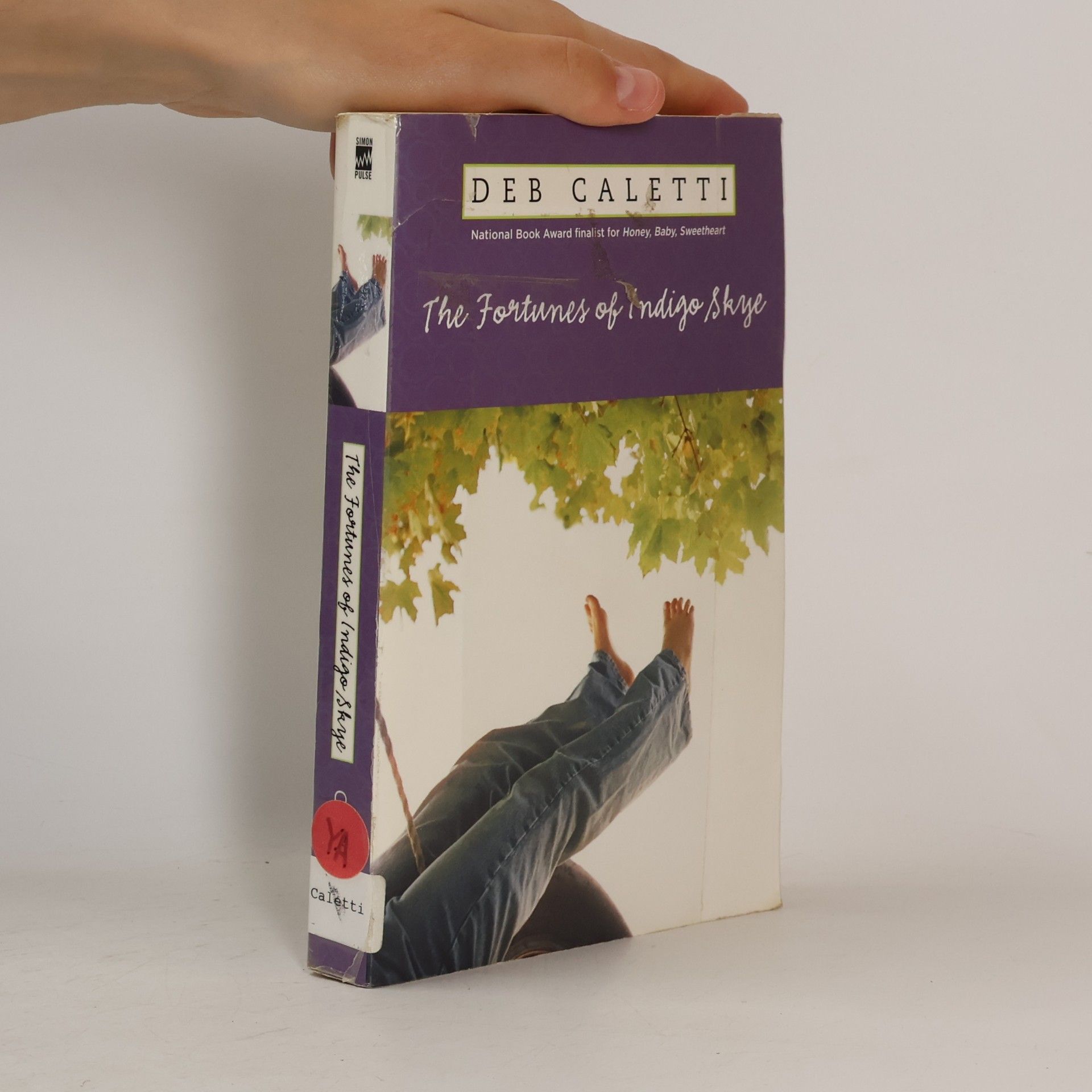 Deb Caletti The Fortunes of Indigo Skye
