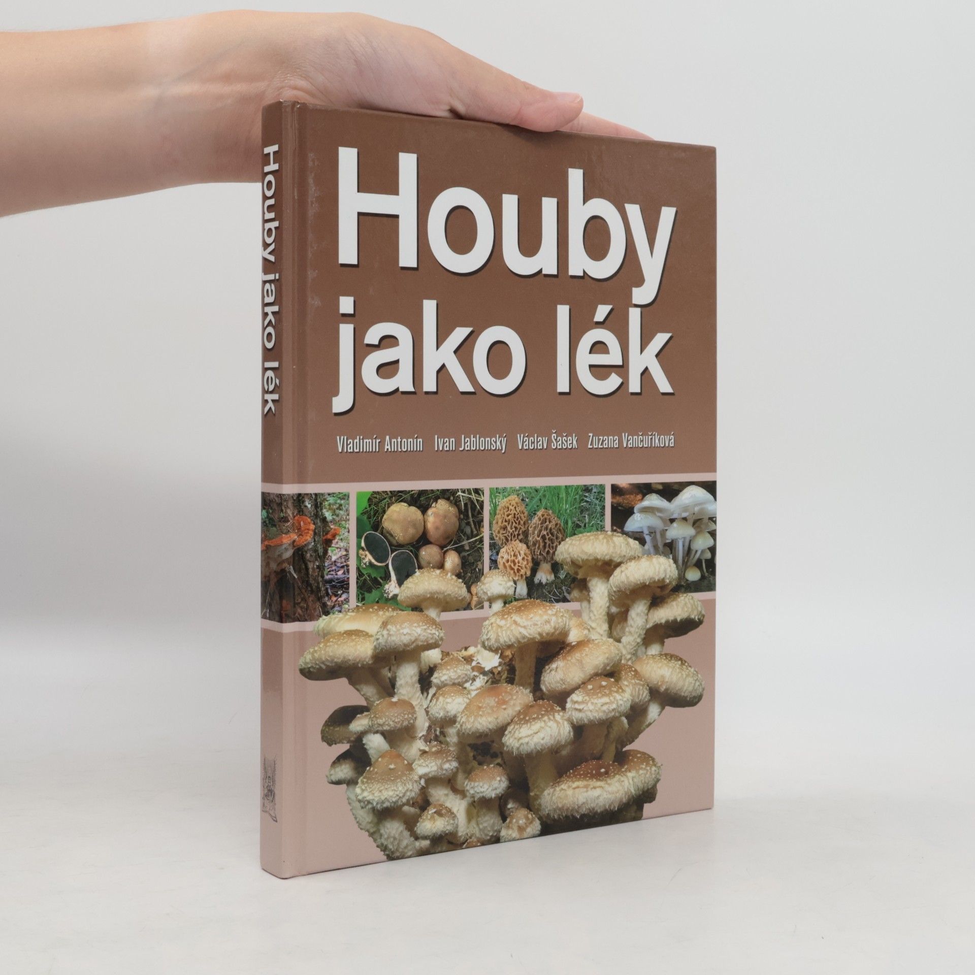 Vladimír Antonín Houby jako lék