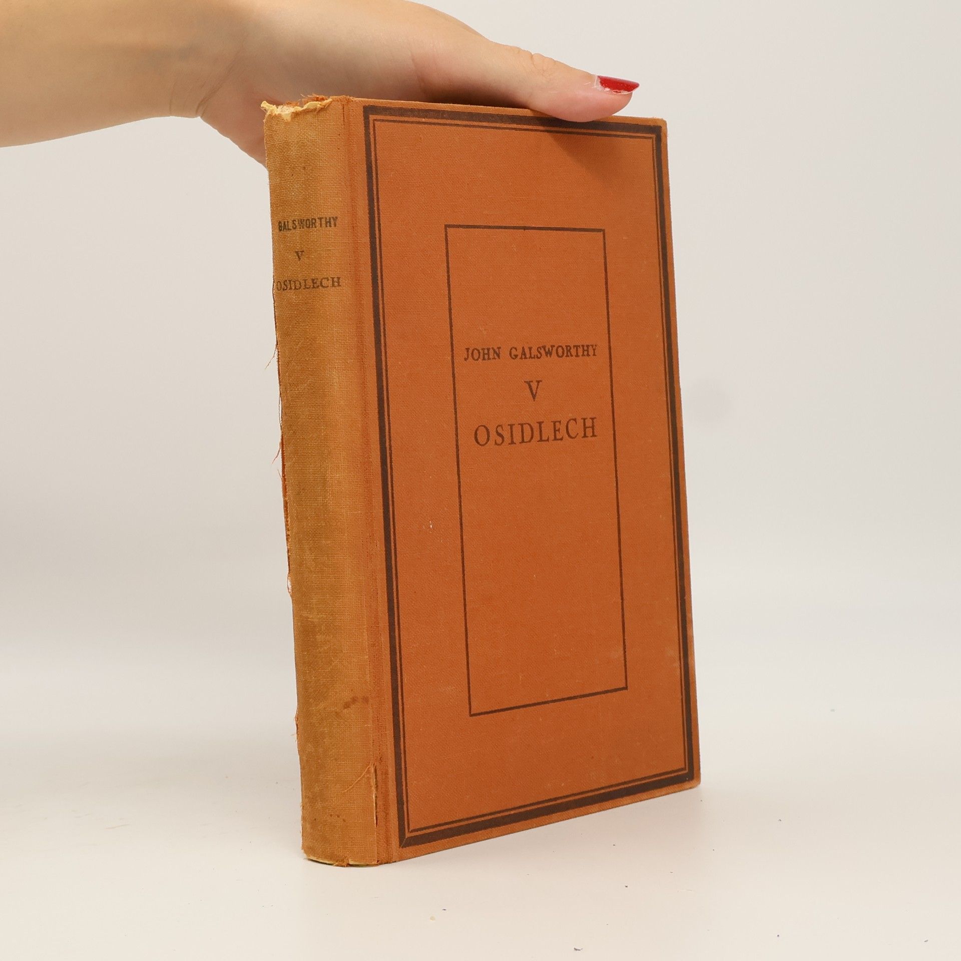 John Galsworthy V osidlech. Sága rodu Forsytů II.