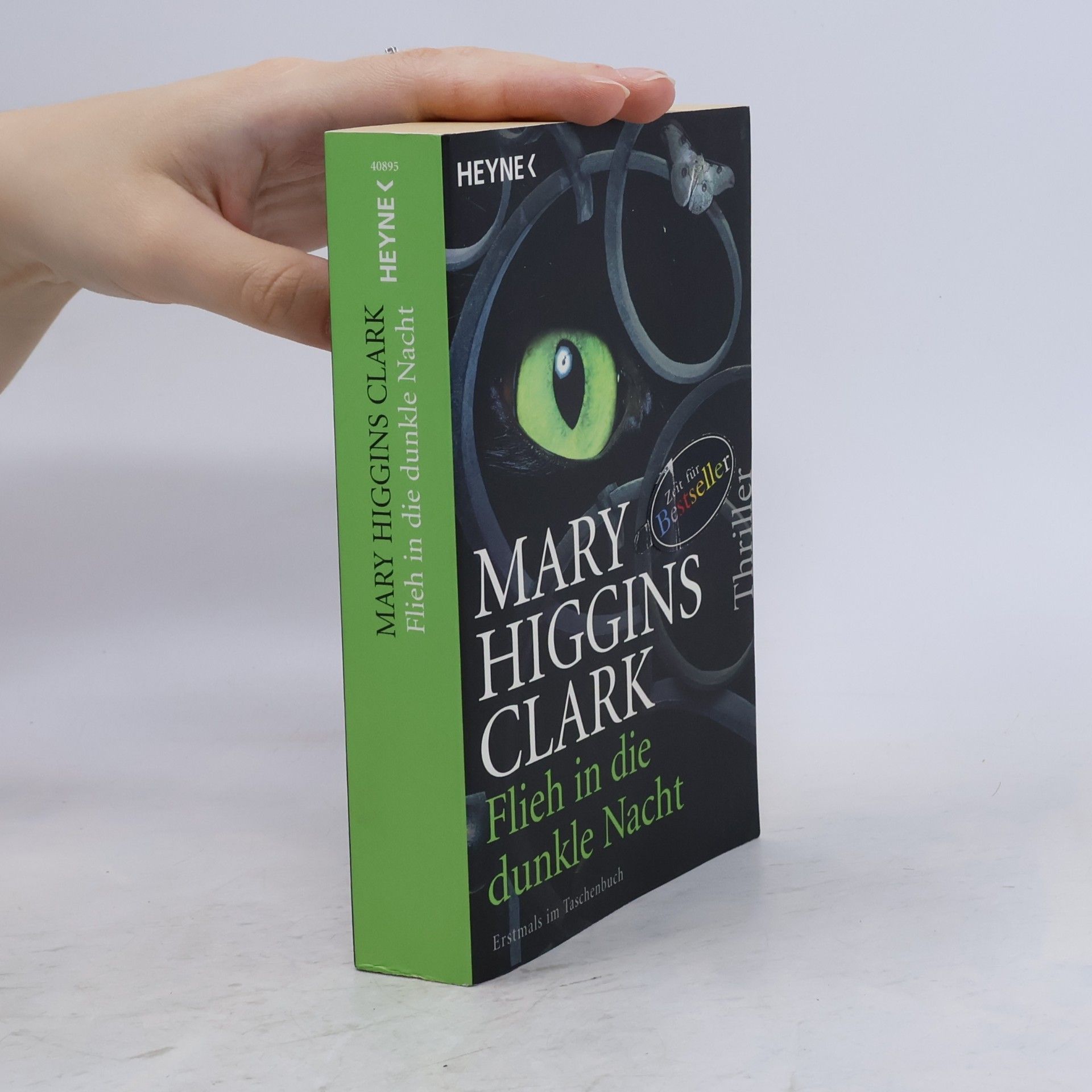 Mary Higgins Clark Flieh in die dunkle Nacht
