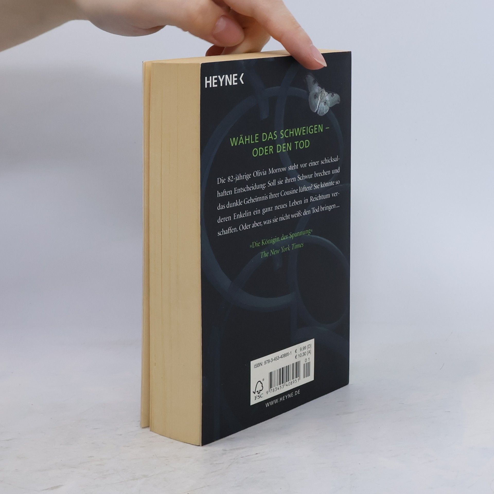 Mary Higgins Clark Flieh in die dunkle Nacht