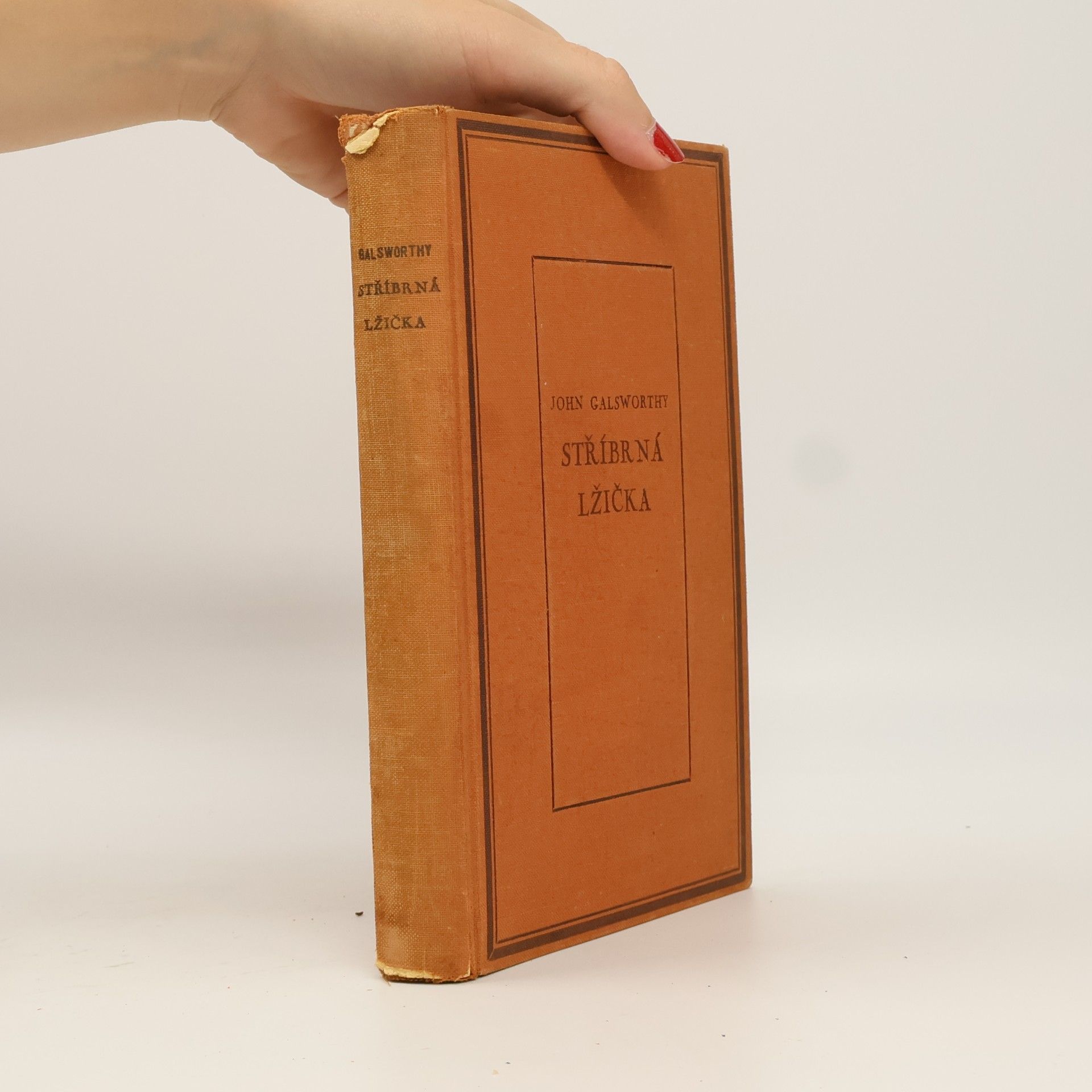 John Galsworthy Stříbrná lžička. Ssága rodu Forsytů V.