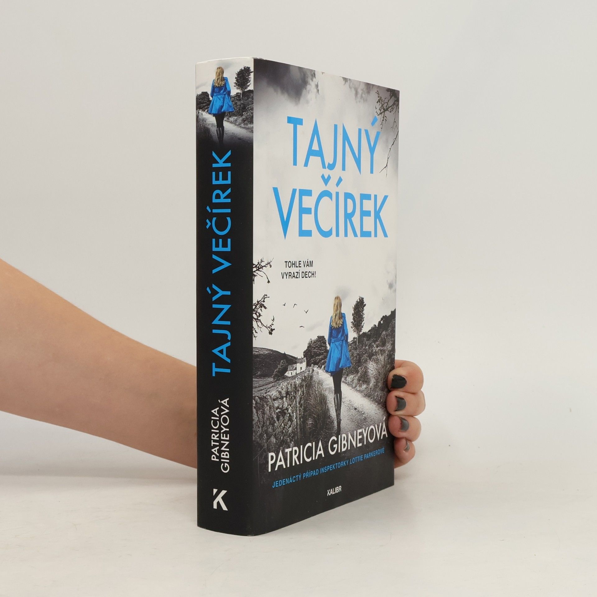 Patricia Gibney Tajný večírek