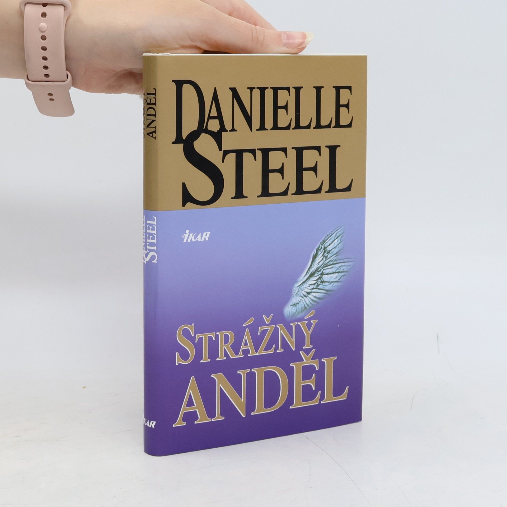 Danielle Steel Strážný anděl