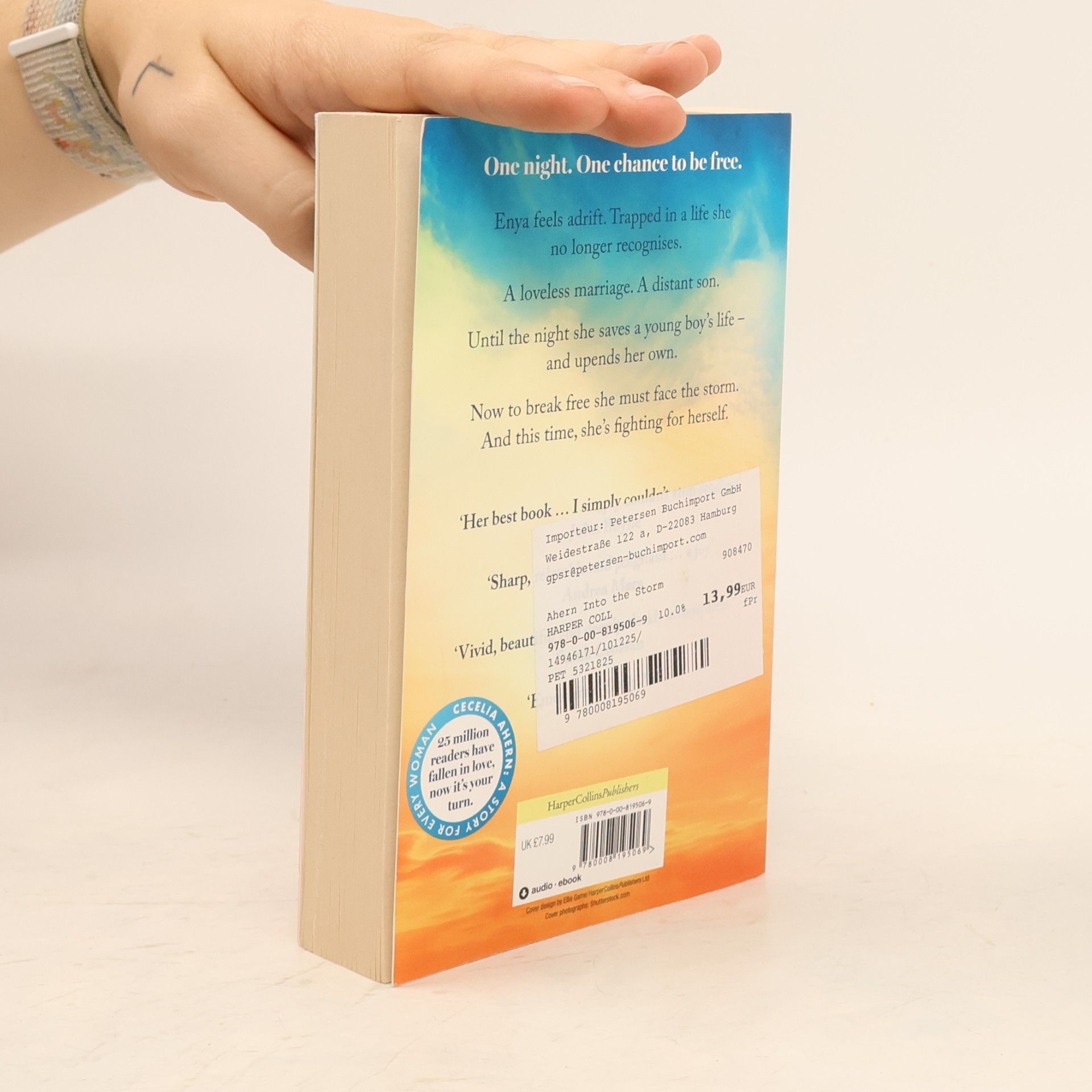 Cecelia Ahern Into the Storm