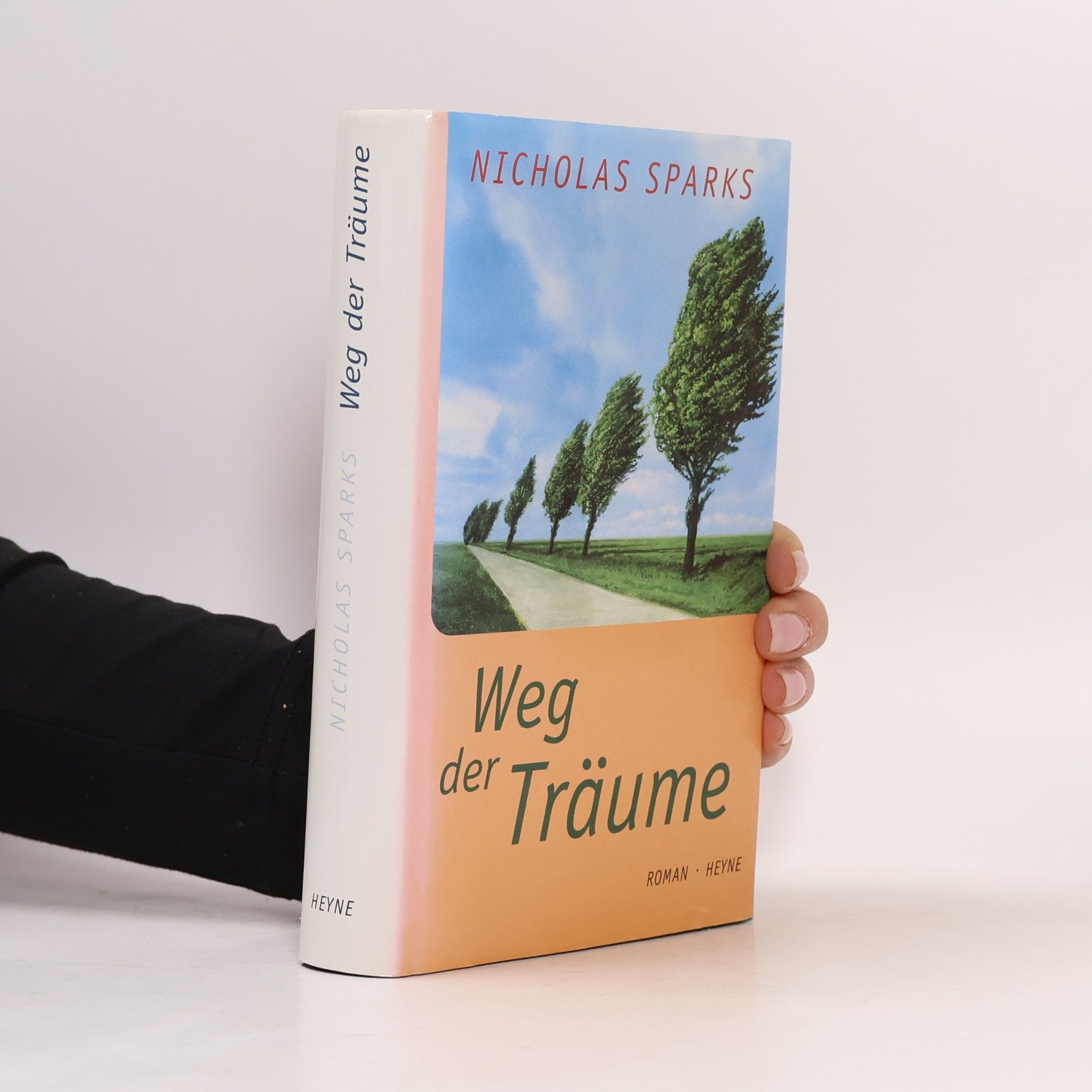 Nicholas Sparks Weg der Träume