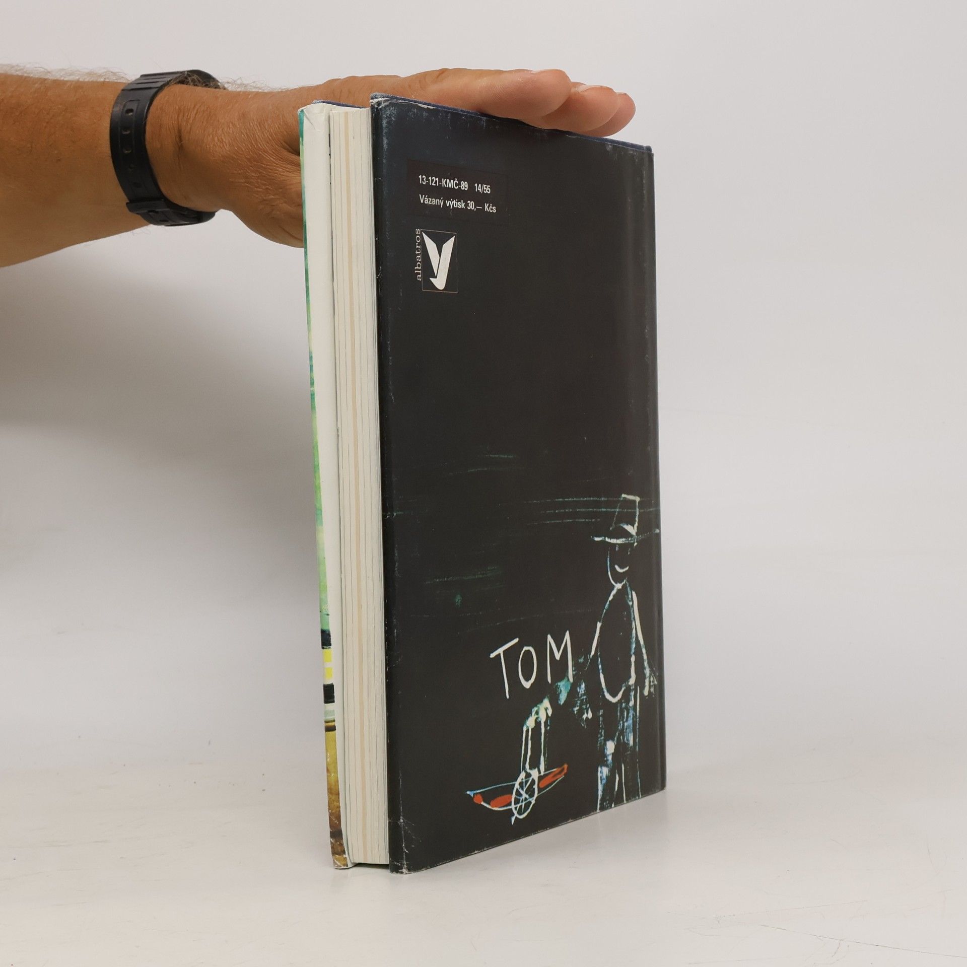 Mark Twain Dobrodružství Toma Sawyera