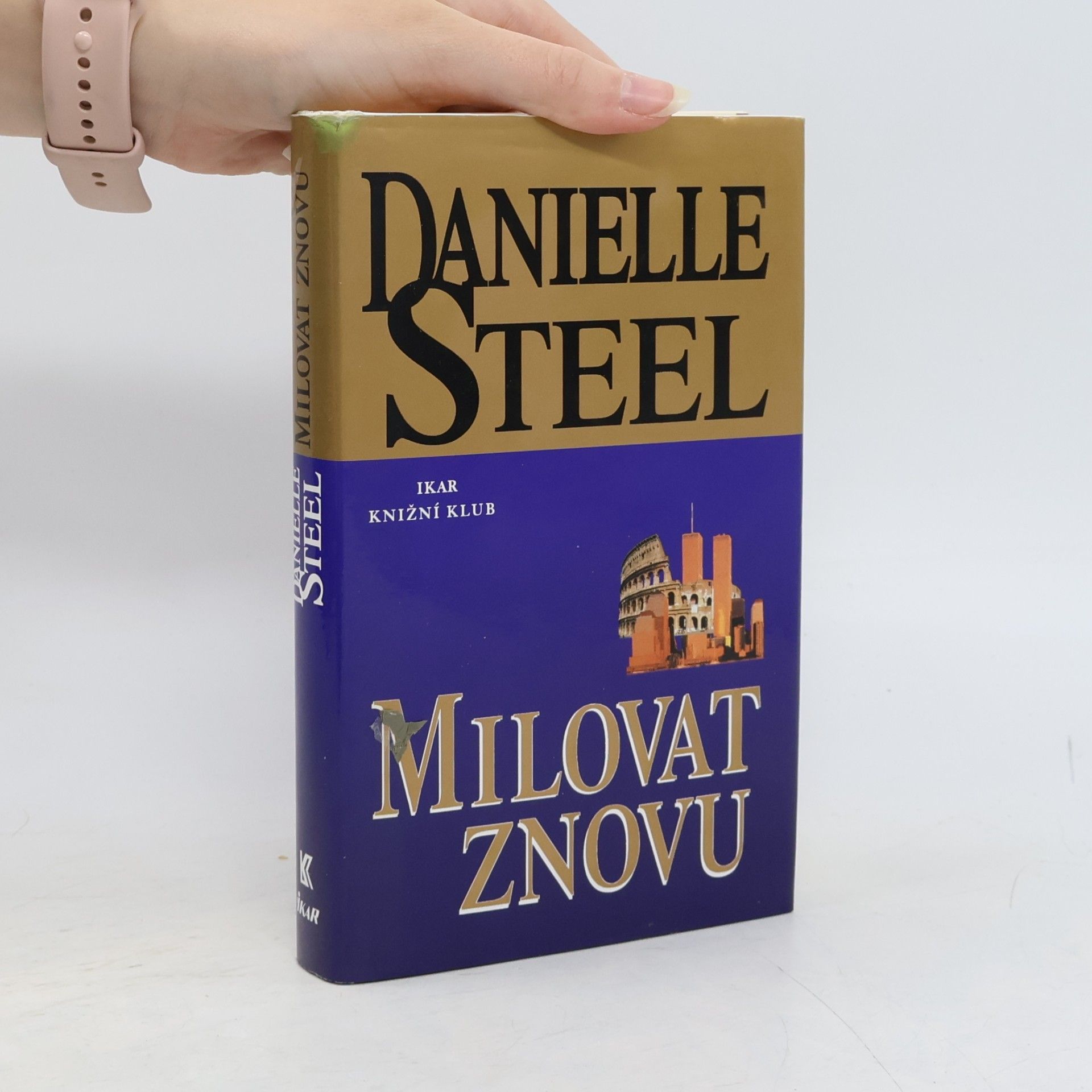Danielle Steel Milovat znovu