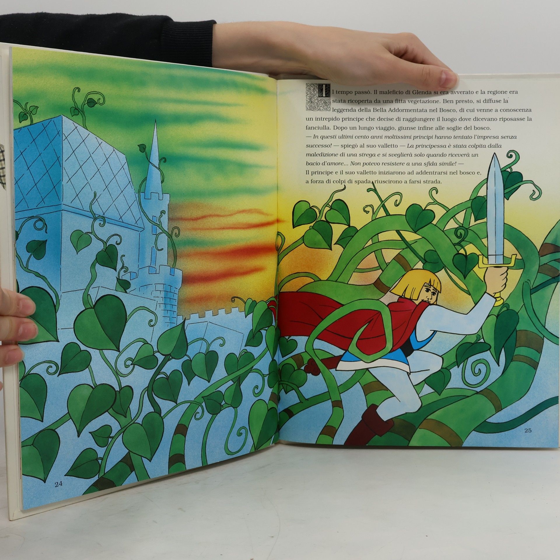 Various authors La Bella Addormentata nel bosco