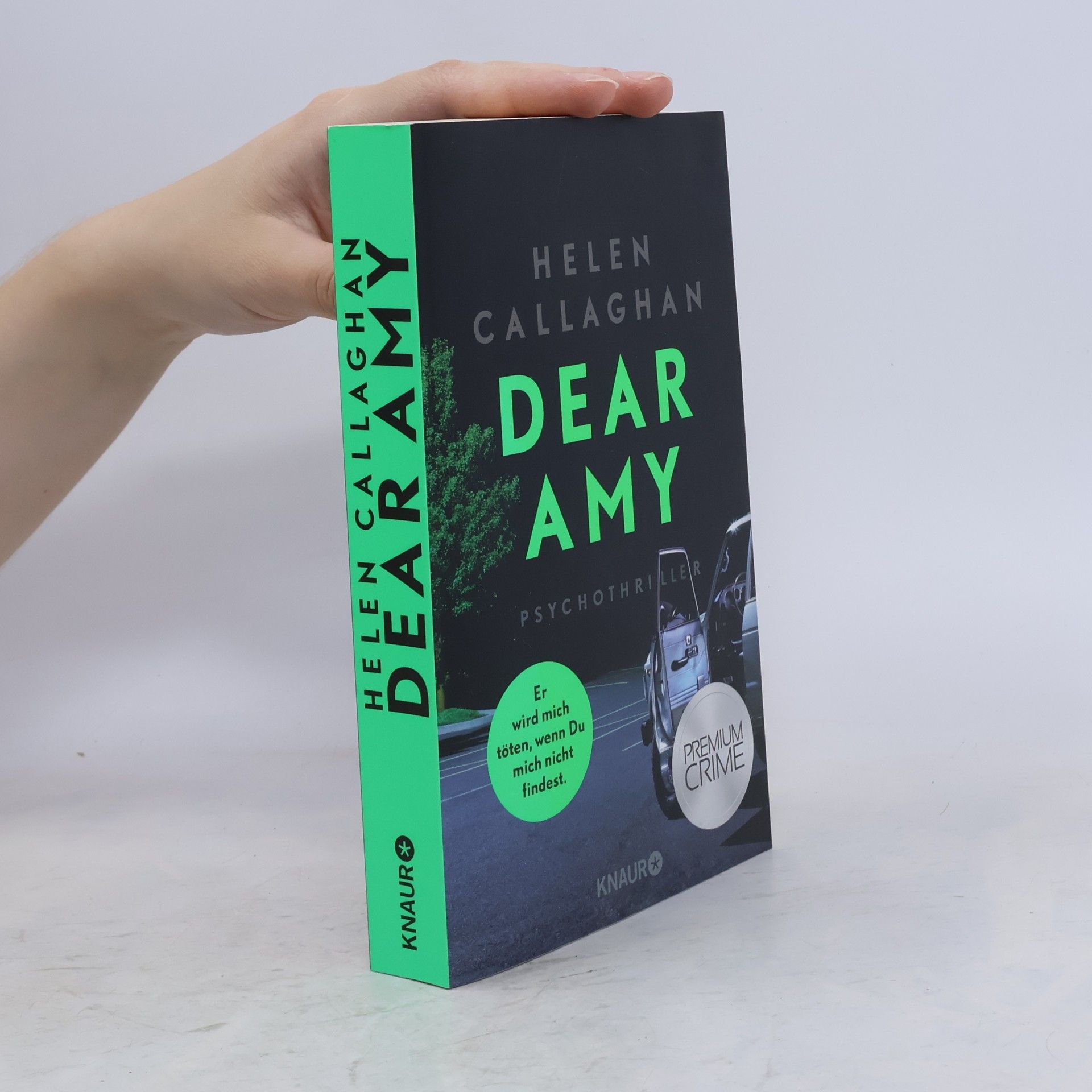 Helen Callaghan Dear Amy