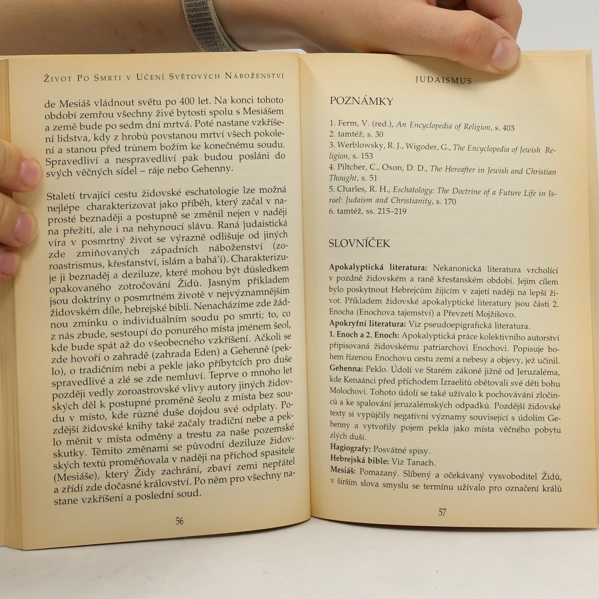 Farnaz Ma sumian Život po smrti. V učení světových náboženství