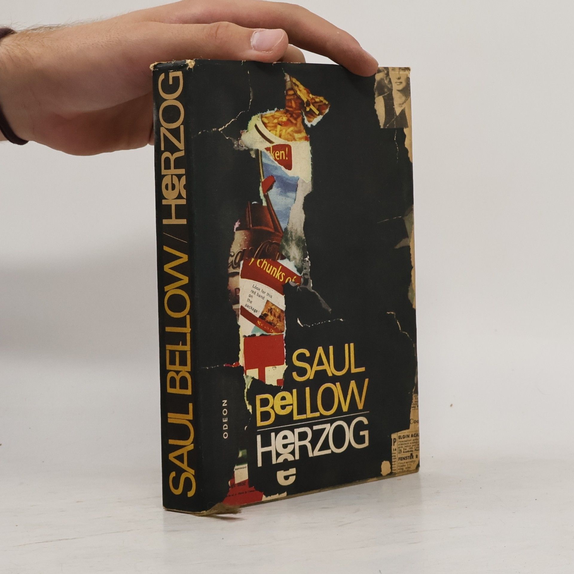 Saul Bellow Herzog