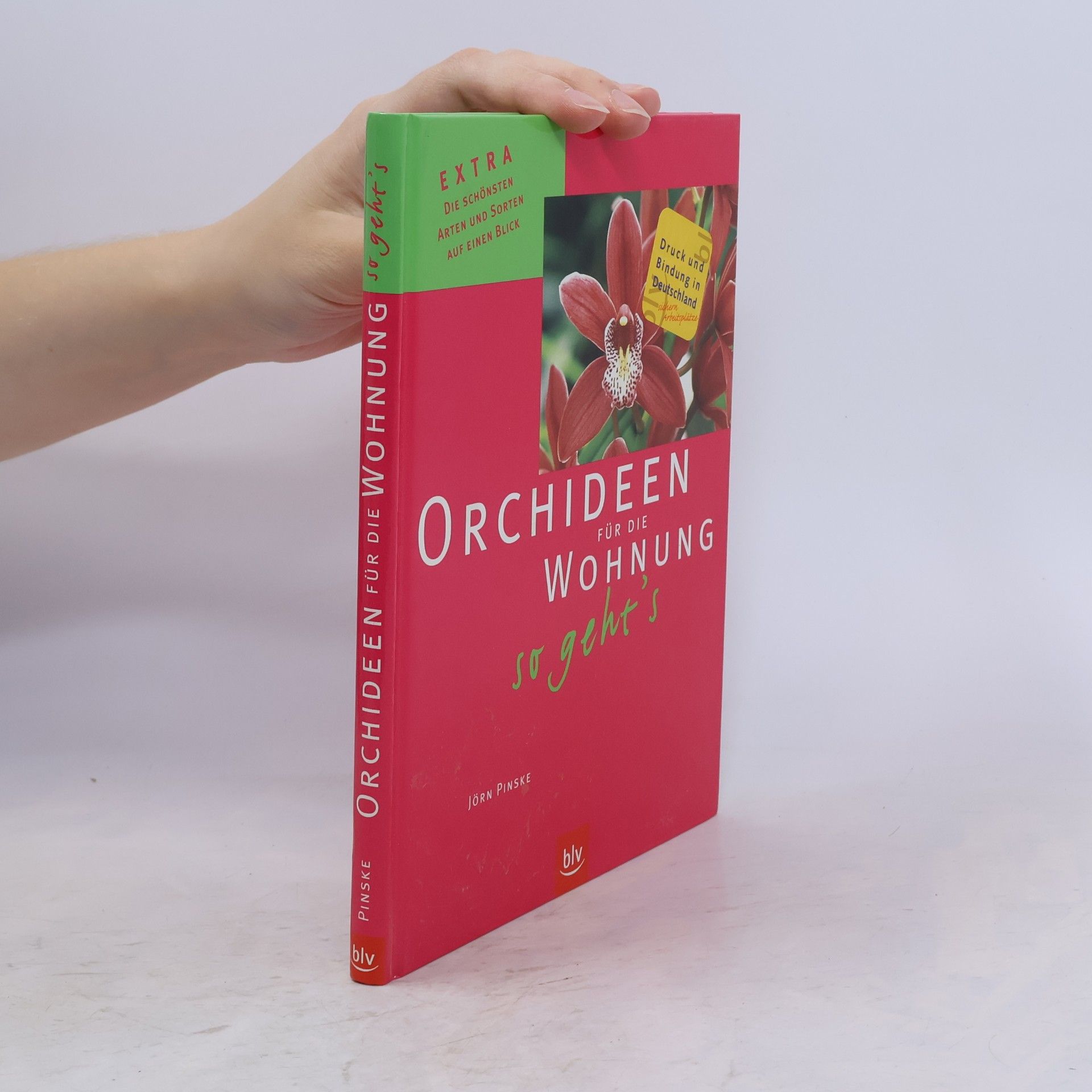 Jörn Pinske Orchideen für die Wohnung - so geht's