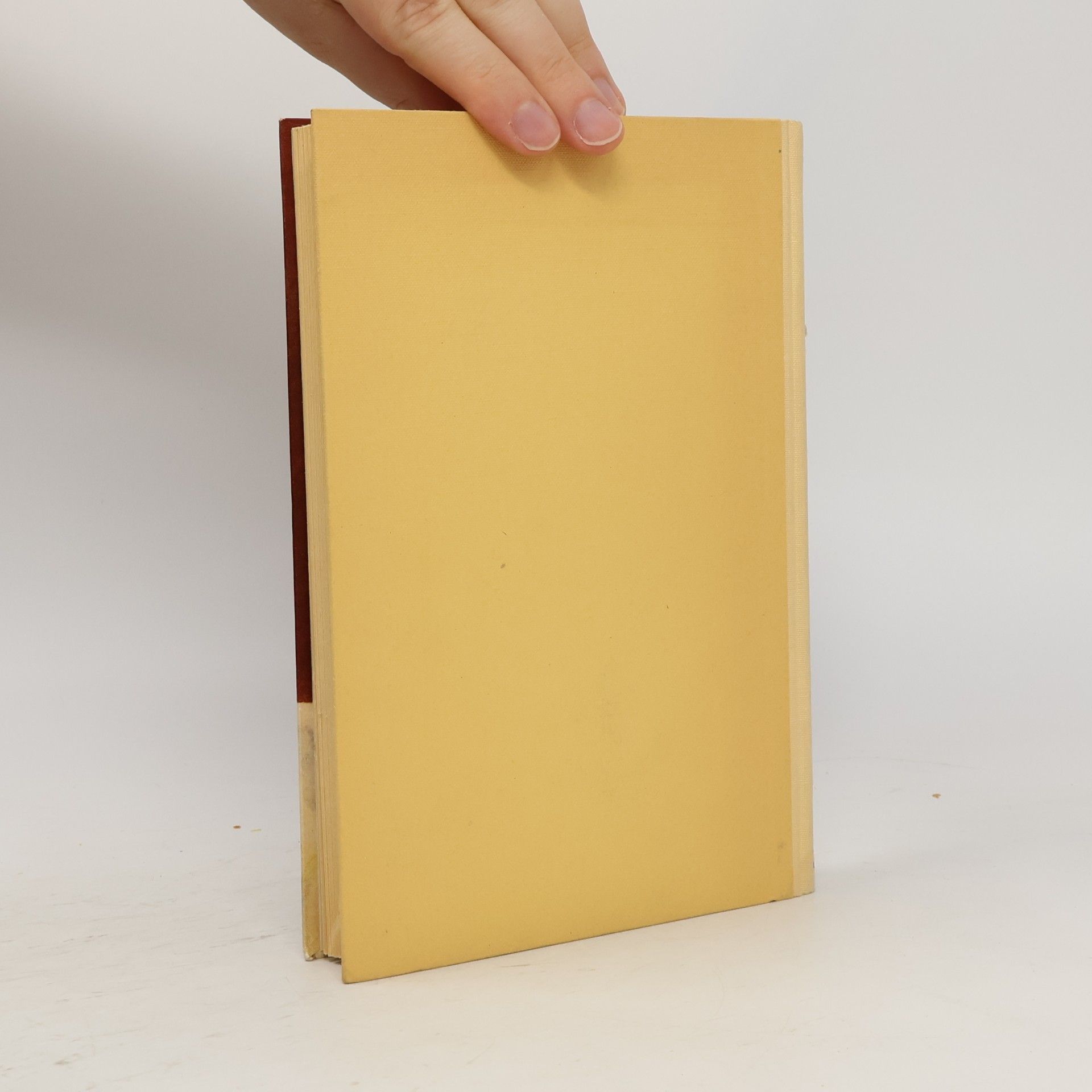 Collectif d'auteurs Die Pferde des Weissen Scheichs