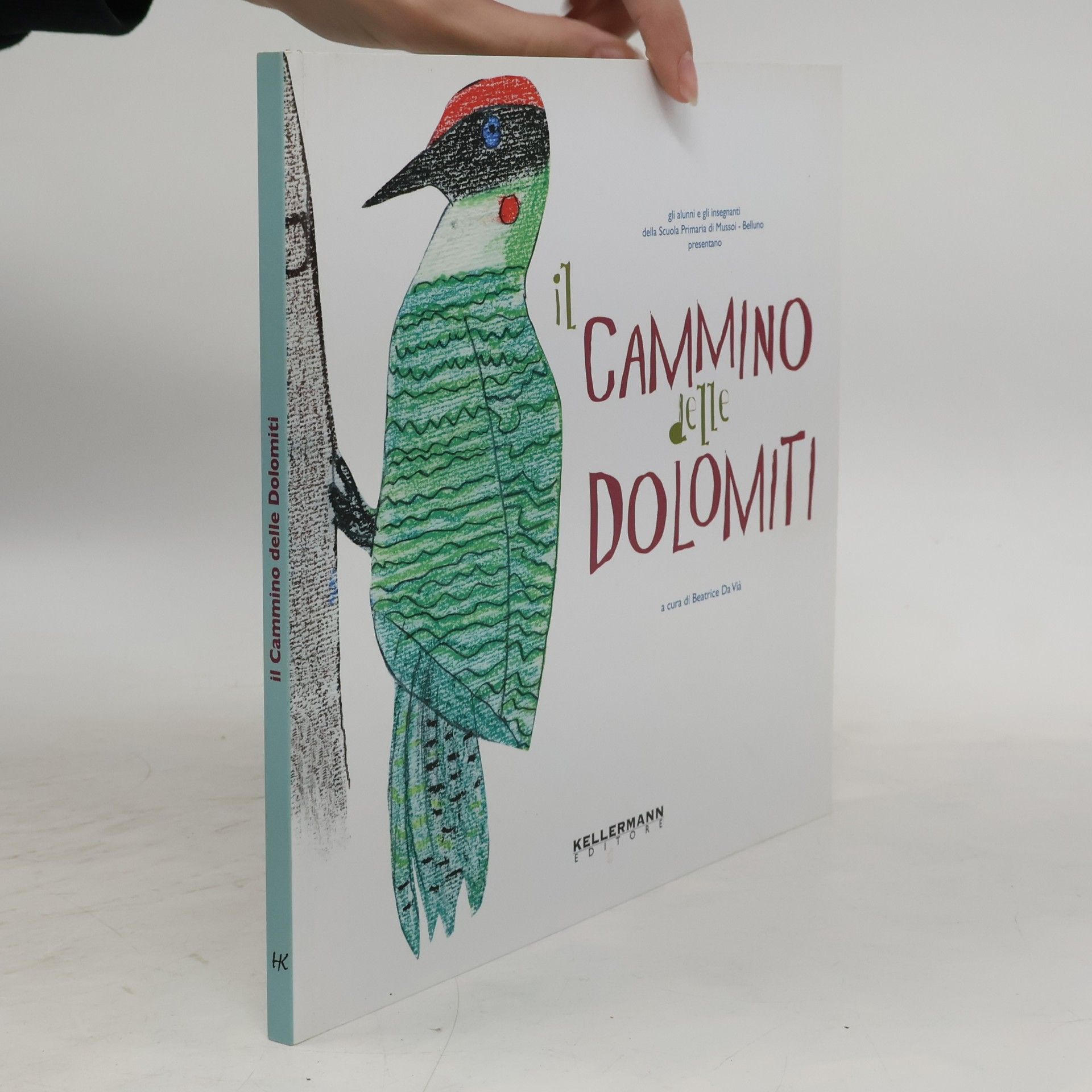 gli insegnanti della Scuola Primaria di Mussol - Belluno Invenzioni: Il cammino delle Dolomiti