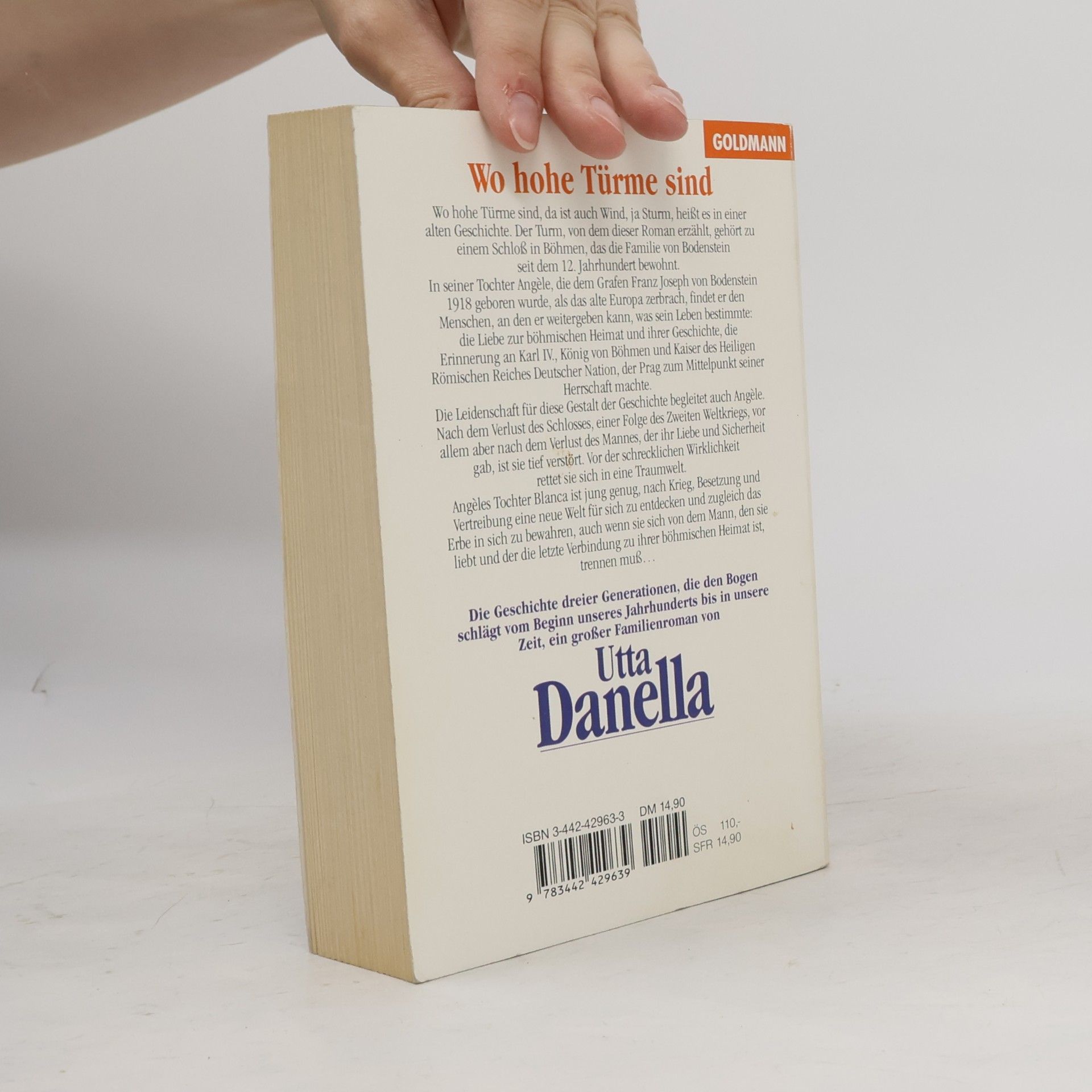 Utta Danella Wo hohe Türme sind