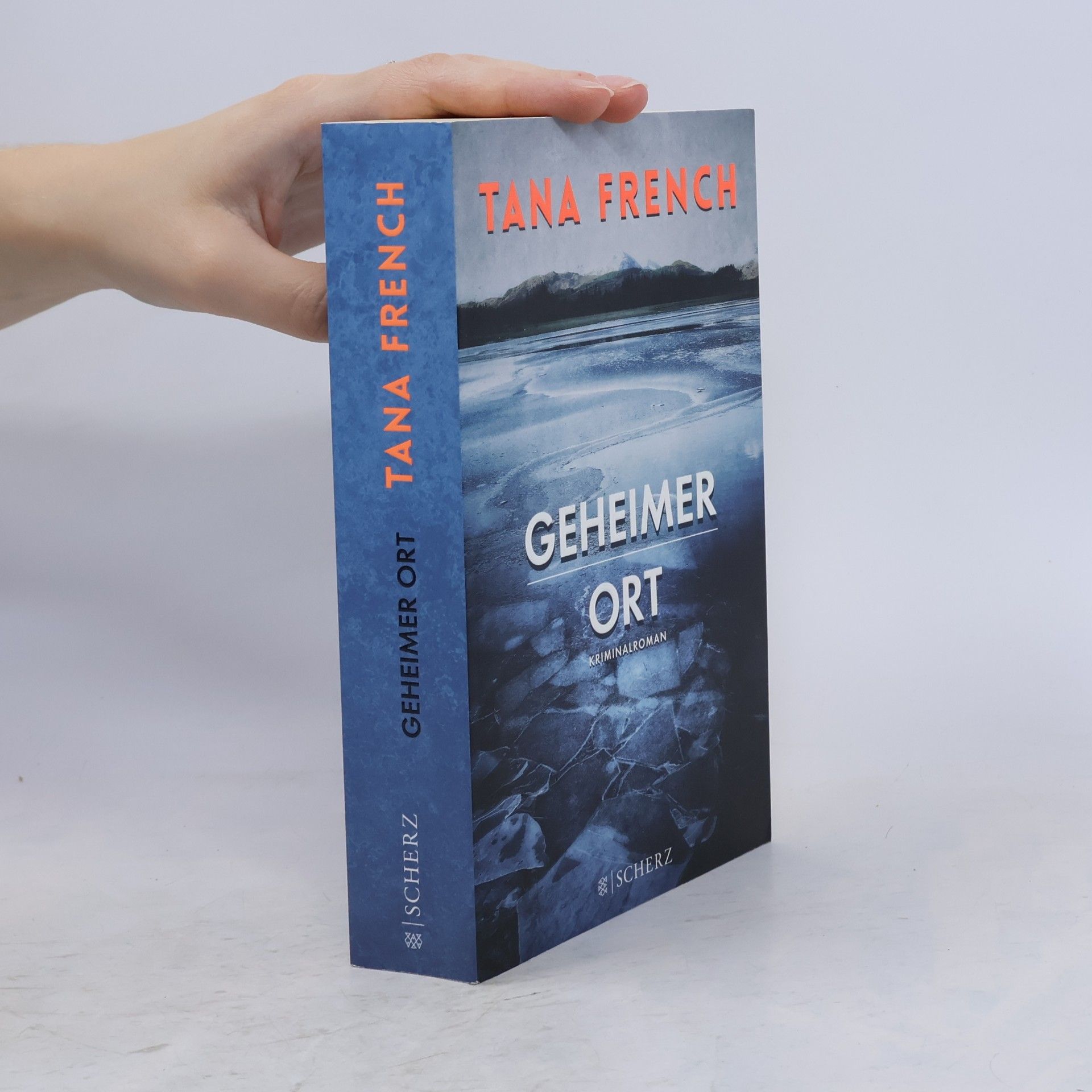 Tana French Geheimer Ort