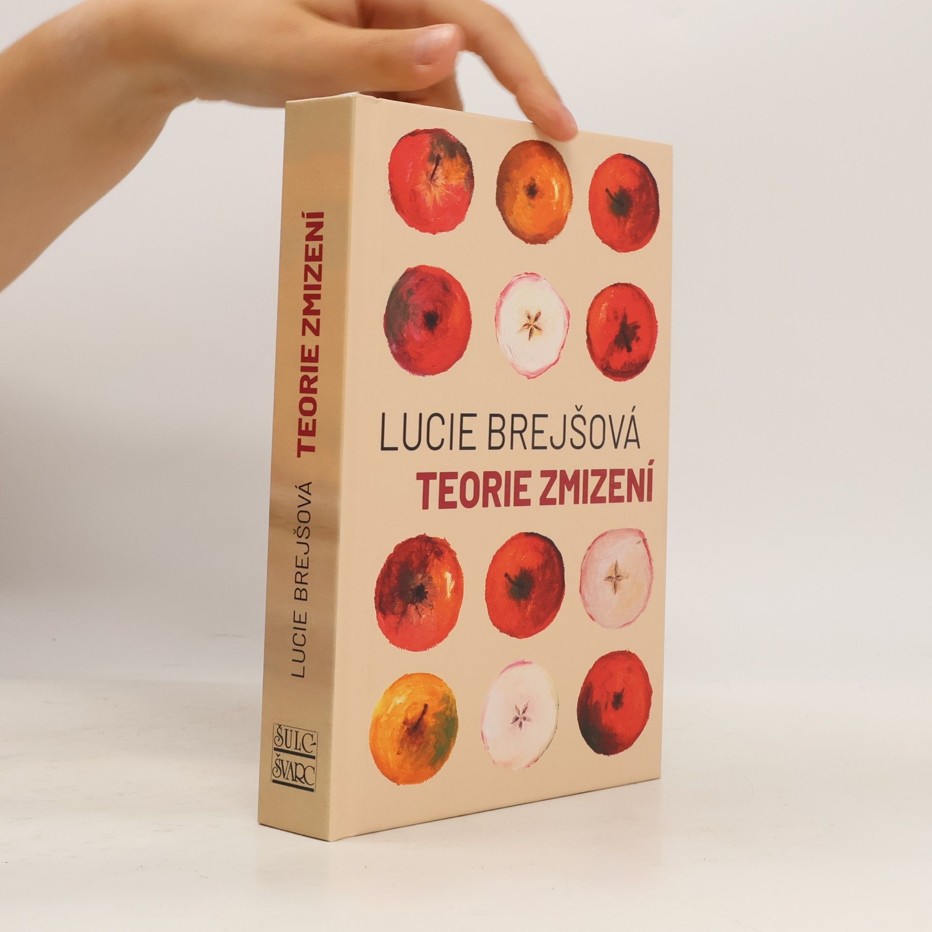 Lucie Brejšová Teorie zmizení