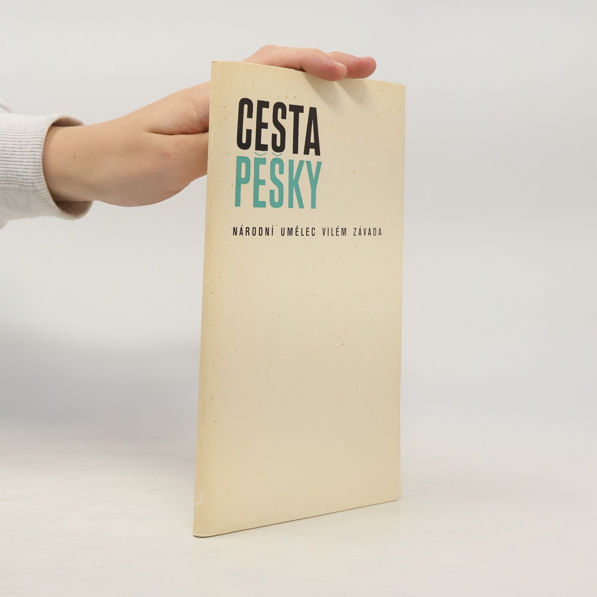 Vilém Závada Cesta pěšky