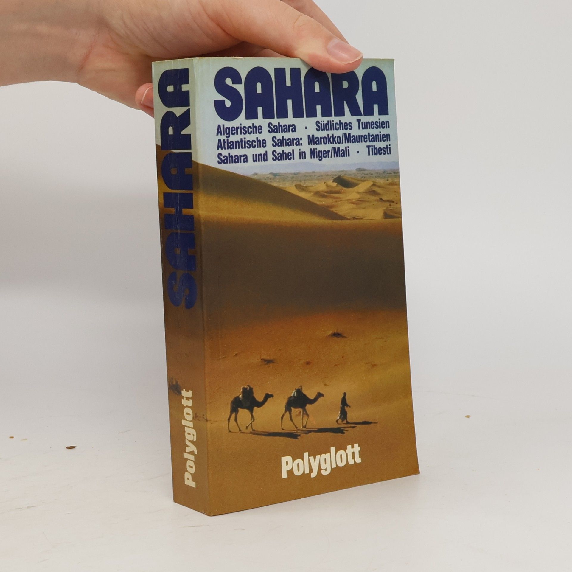 Bénédicte Vaes Sahara