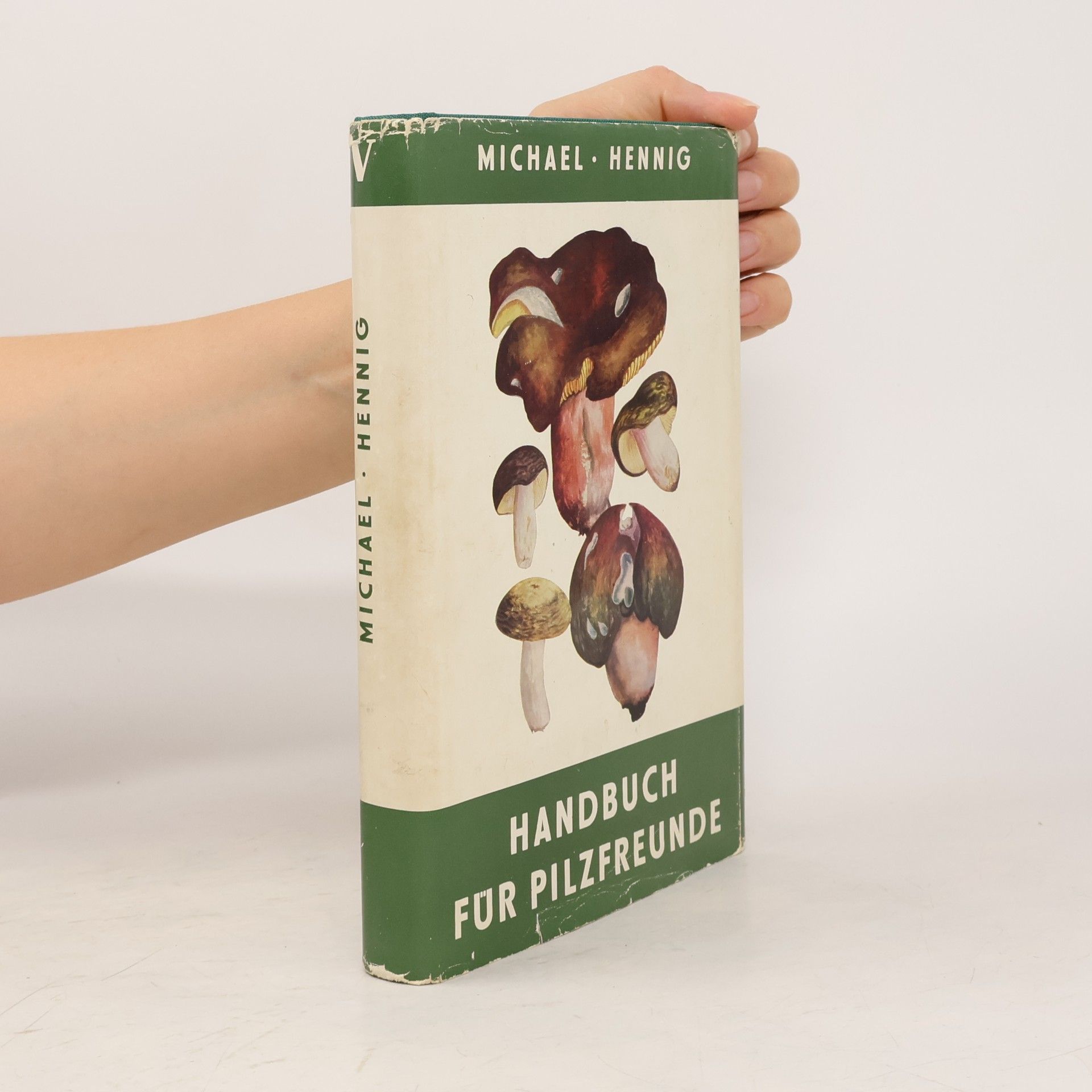 Autorenkollektiv Handbuch für Pilzfreunde