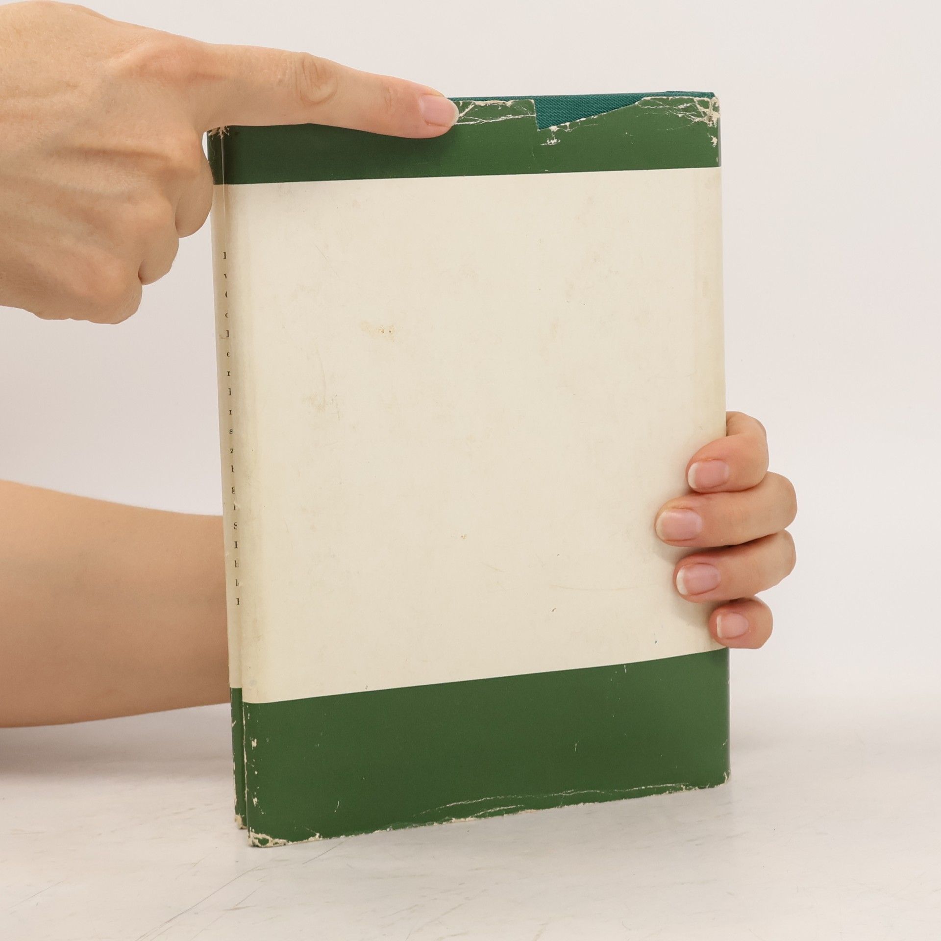 Autorenkollektiv Handbuch für Pilzfreunde