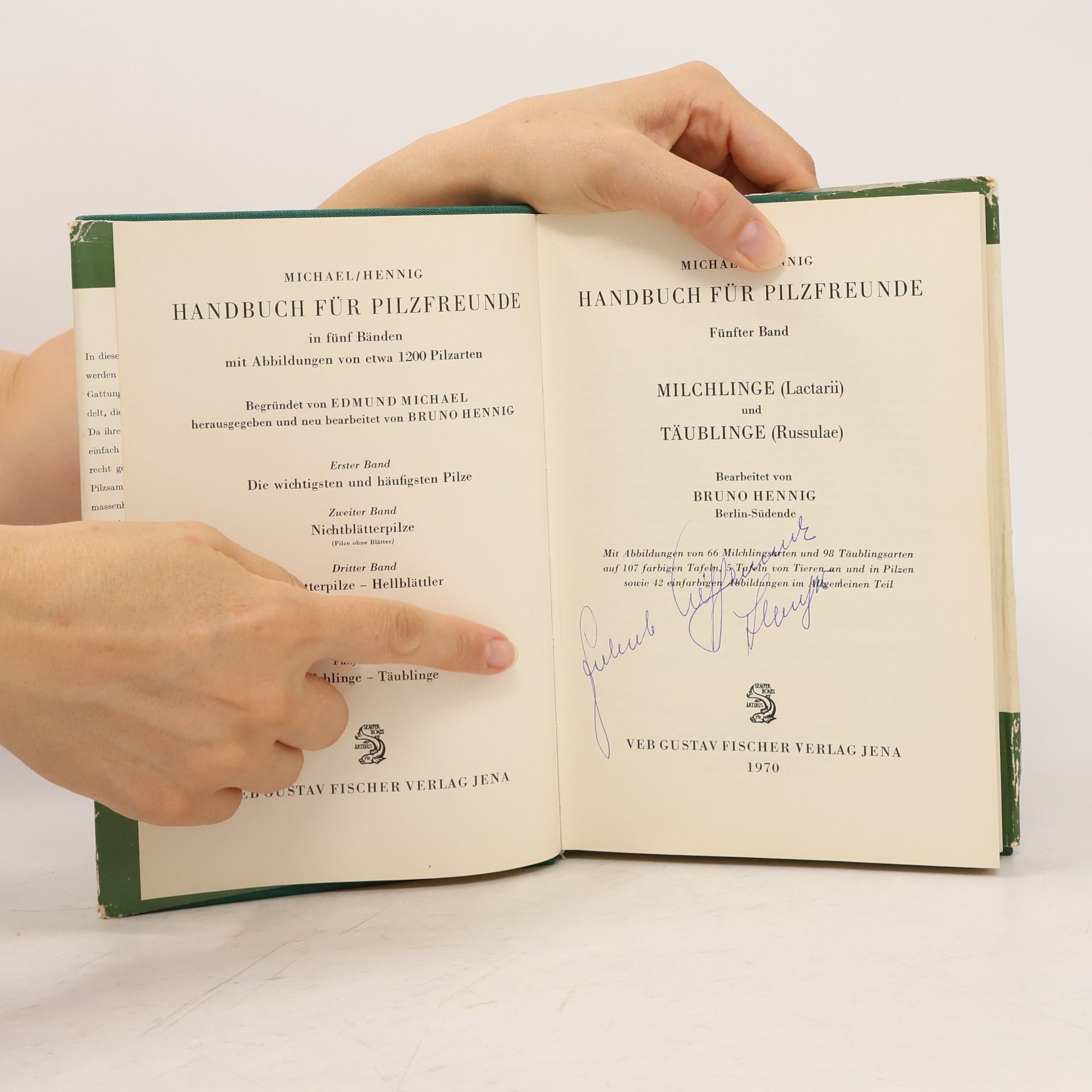 Autorenkollektiv Handbuch für Pilzfreunde