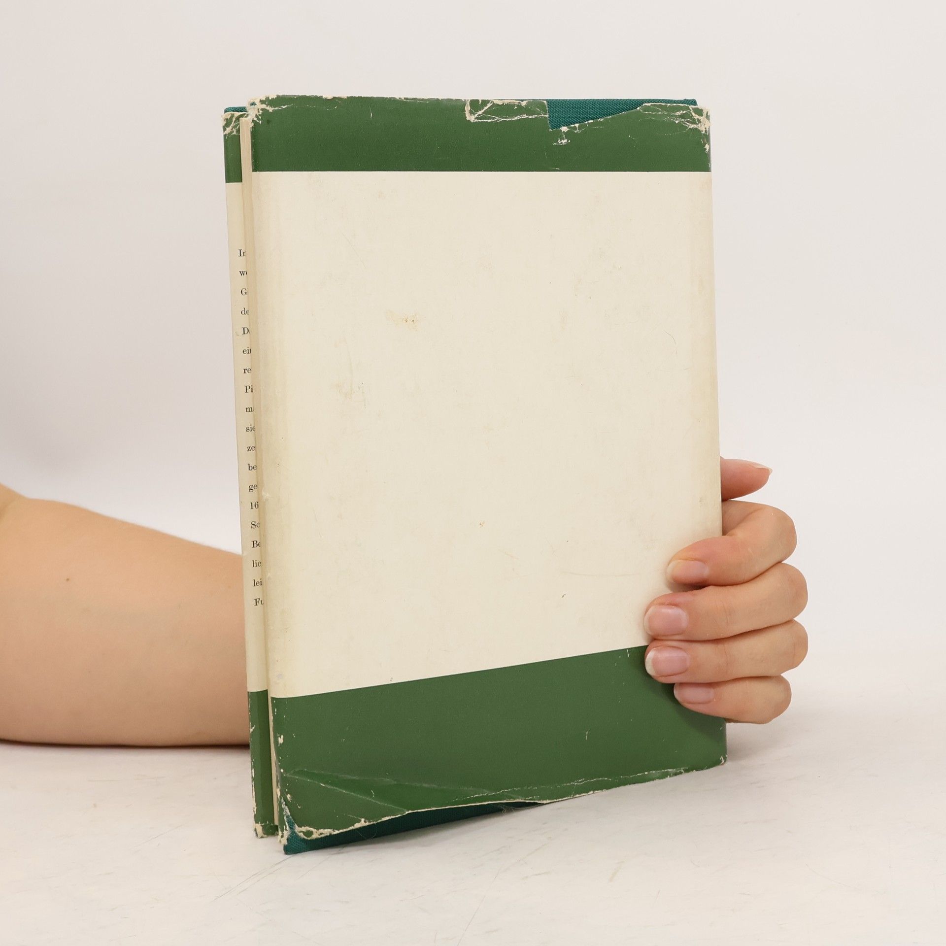 Autorenkollektiv Handbuch für Pilzfreunde