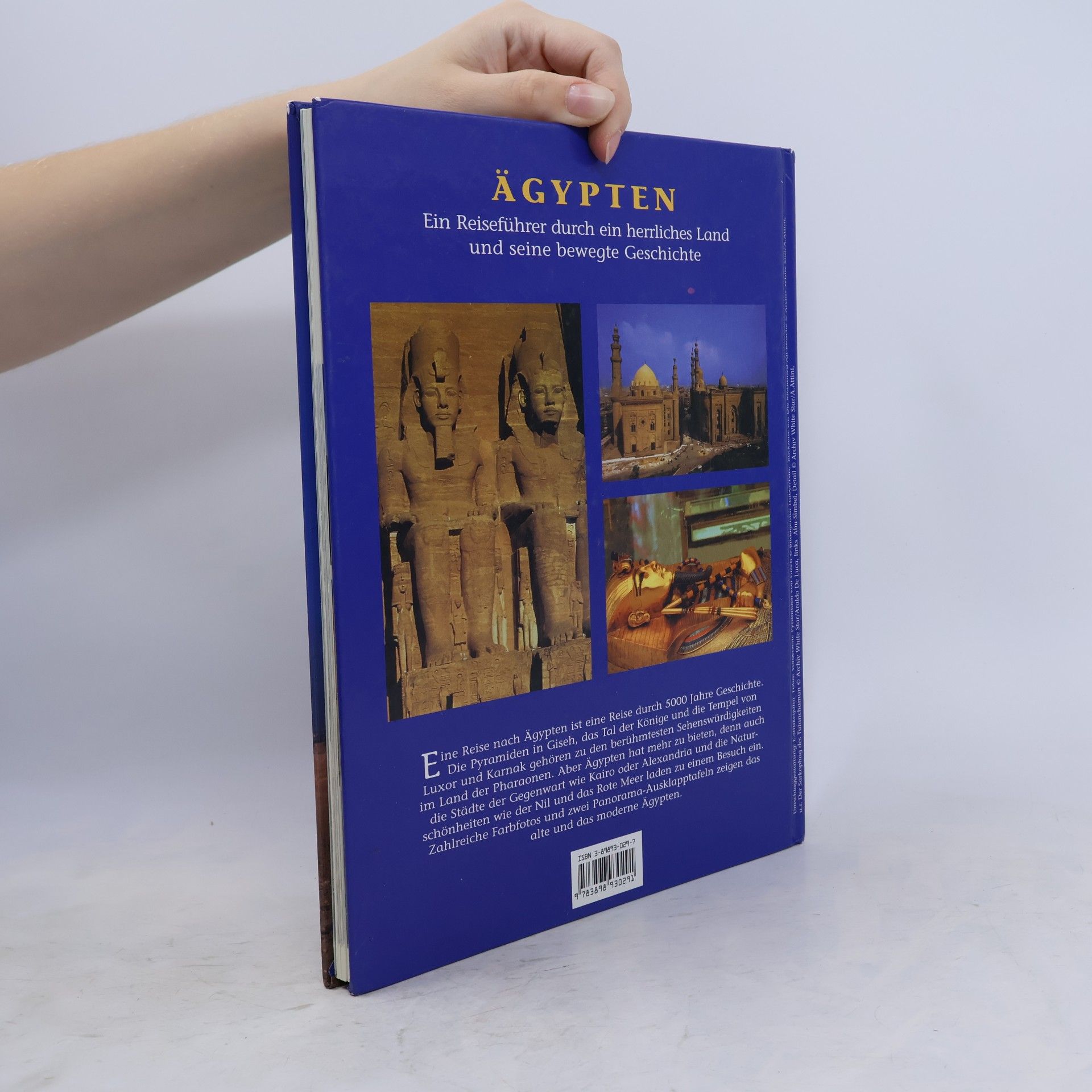 Isabella Brega Ägypten
