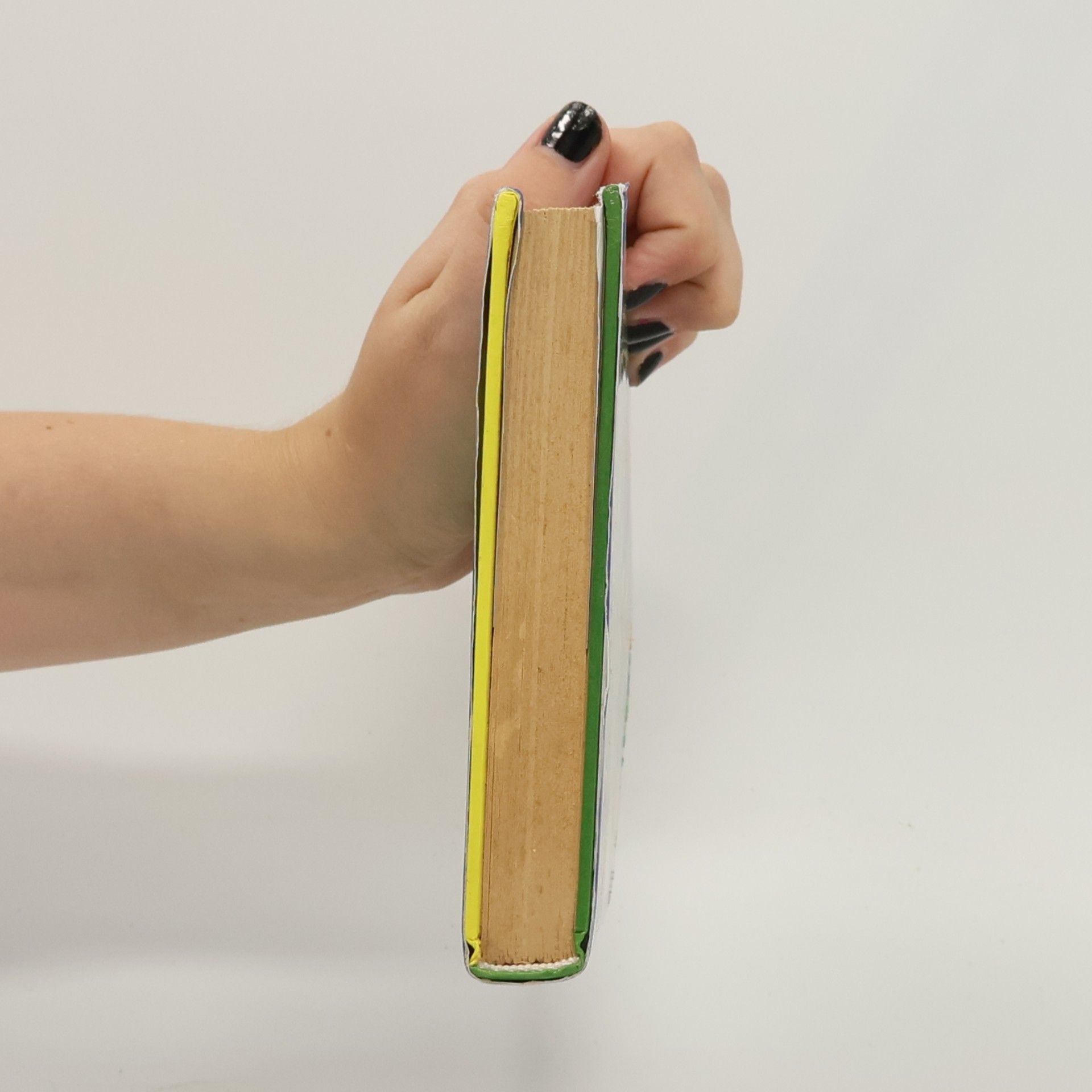 Jacqueline Wilson Všude dobře, doma nejlíp