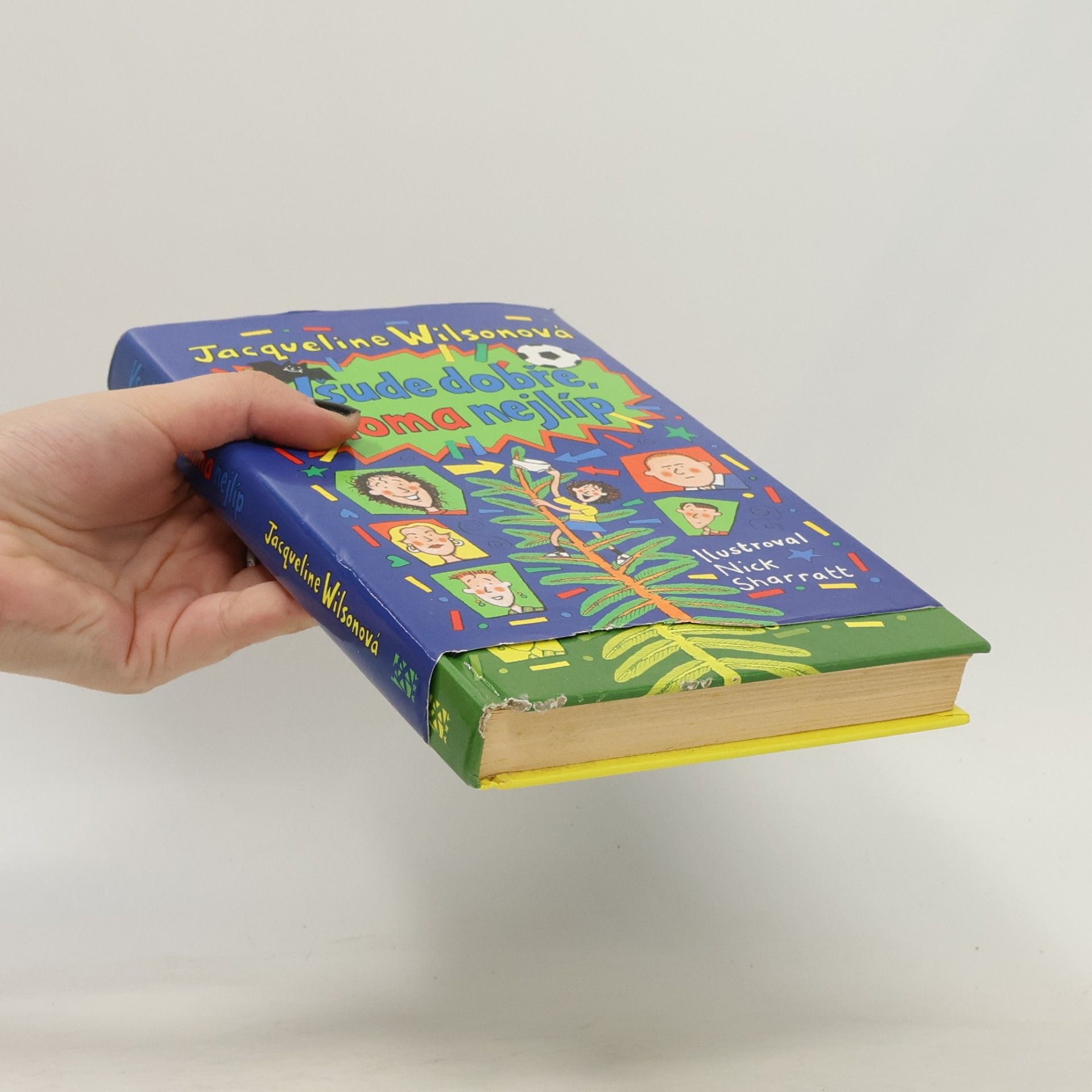Jacqueline Wilson Všude dobře, doma nejlíp