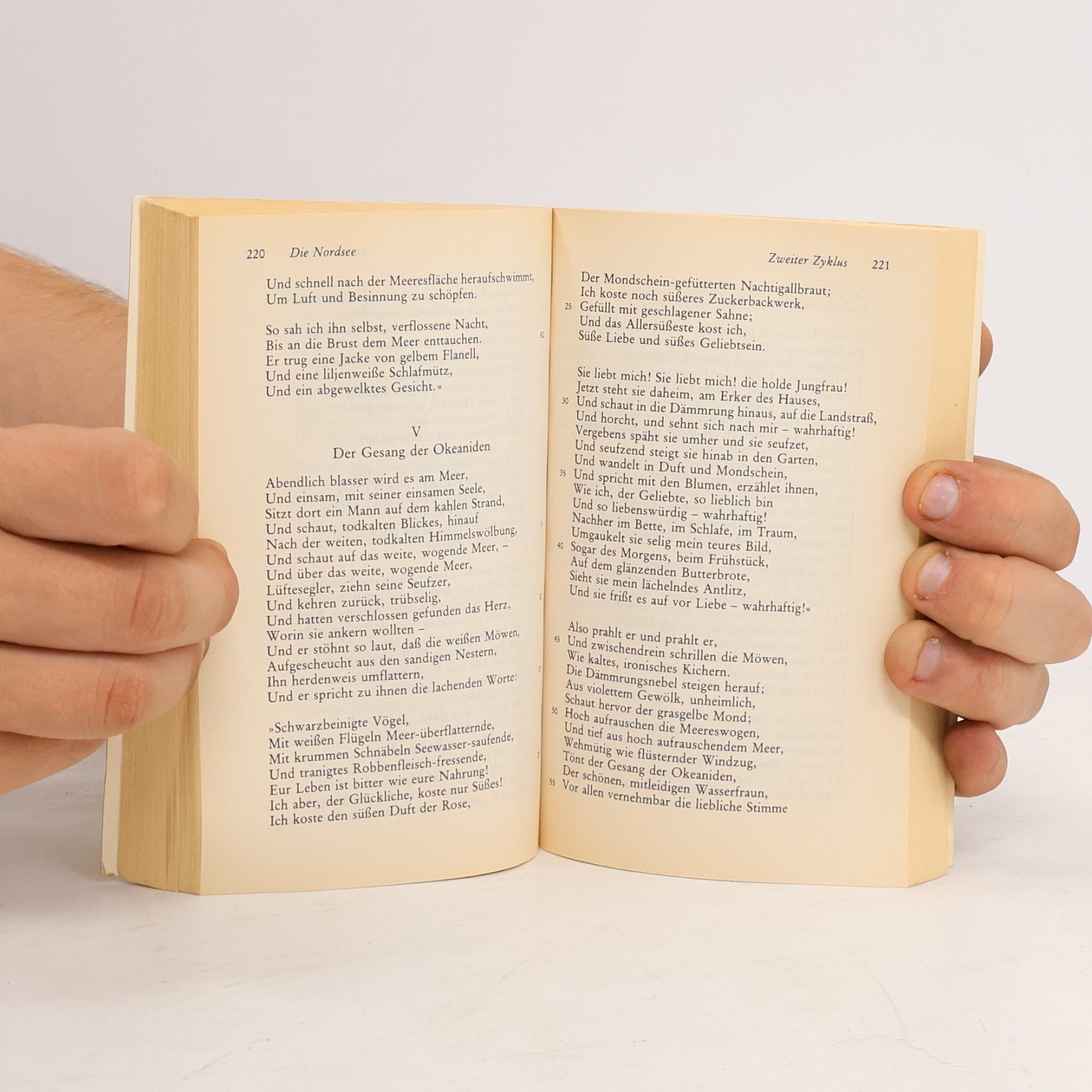 Heinrich Heine Buch der Lieder
