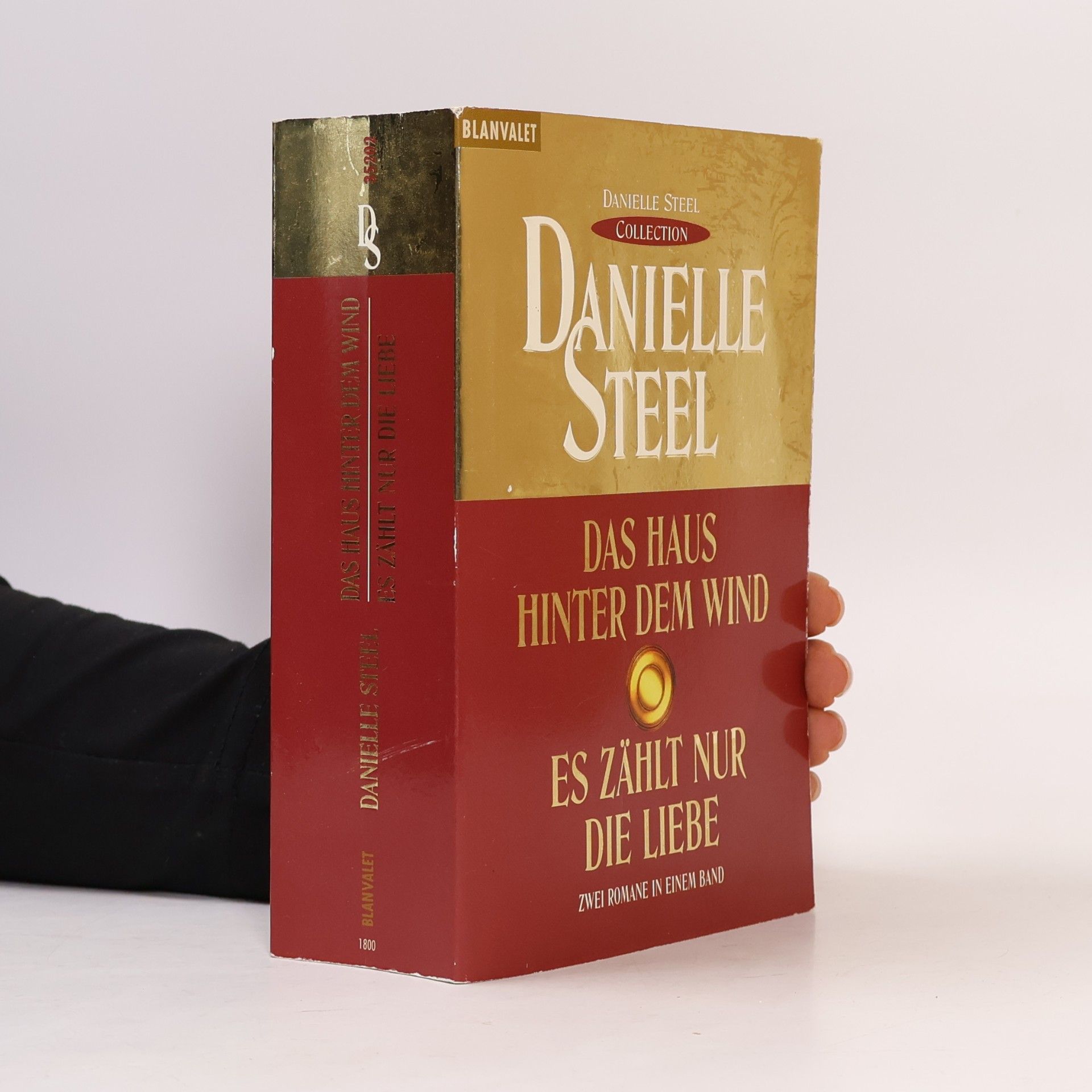 Danielle Steel Das Haus hinter dem Wind. Es Zählt nur die Liebe