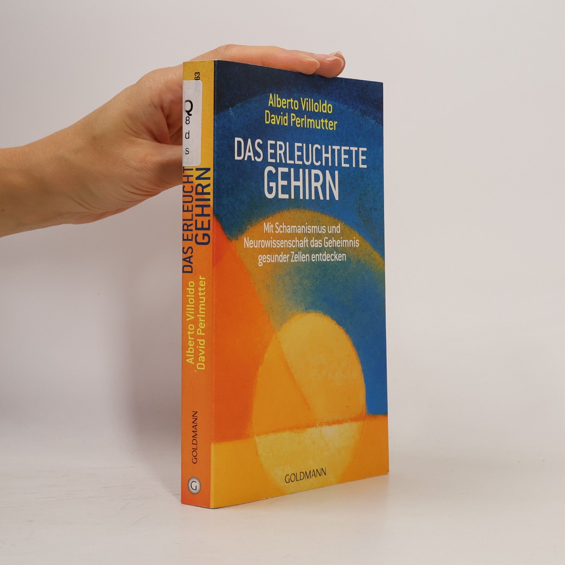 Alberto Villoldo Das erleuchtete Gehirn