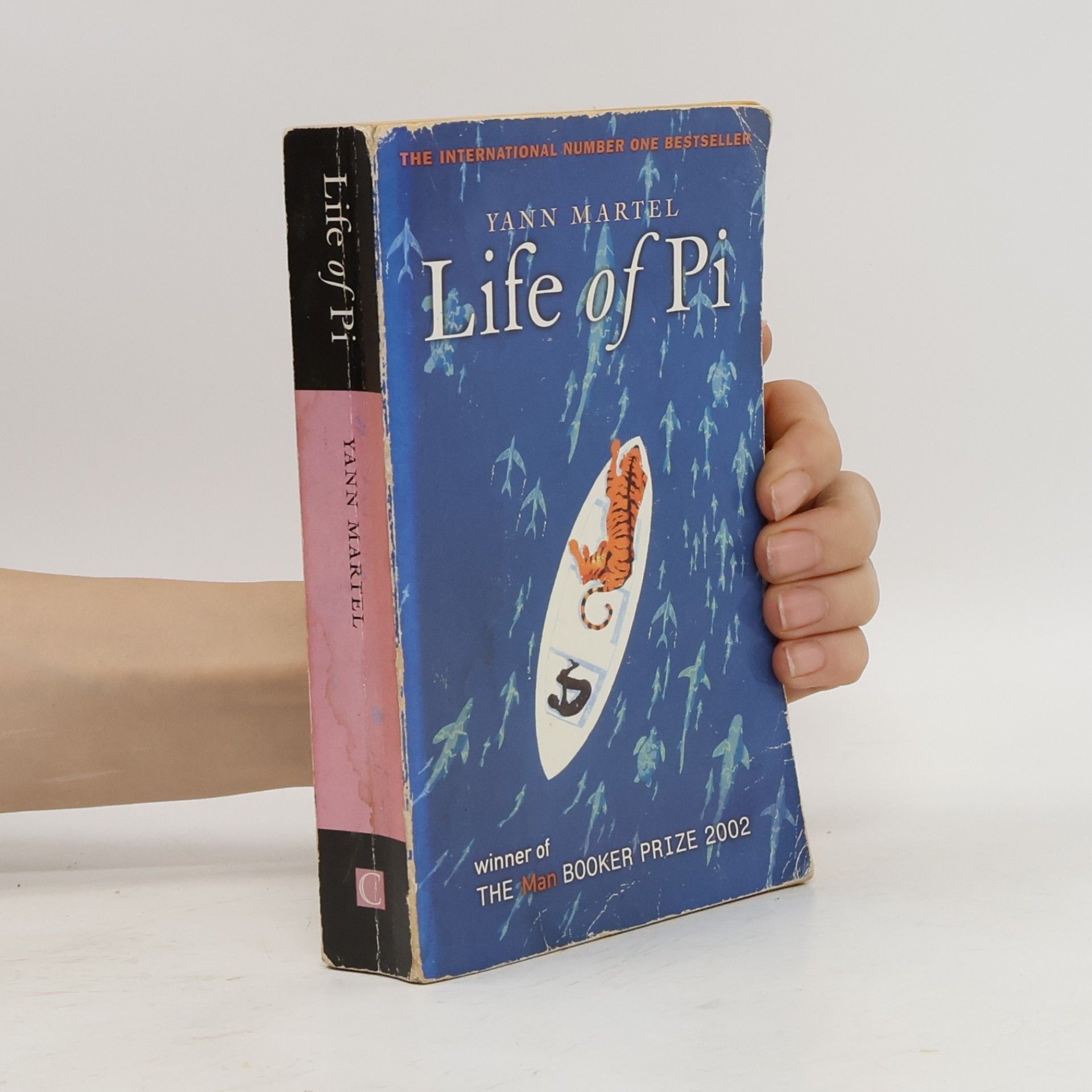 Yann Martel Life of Pi