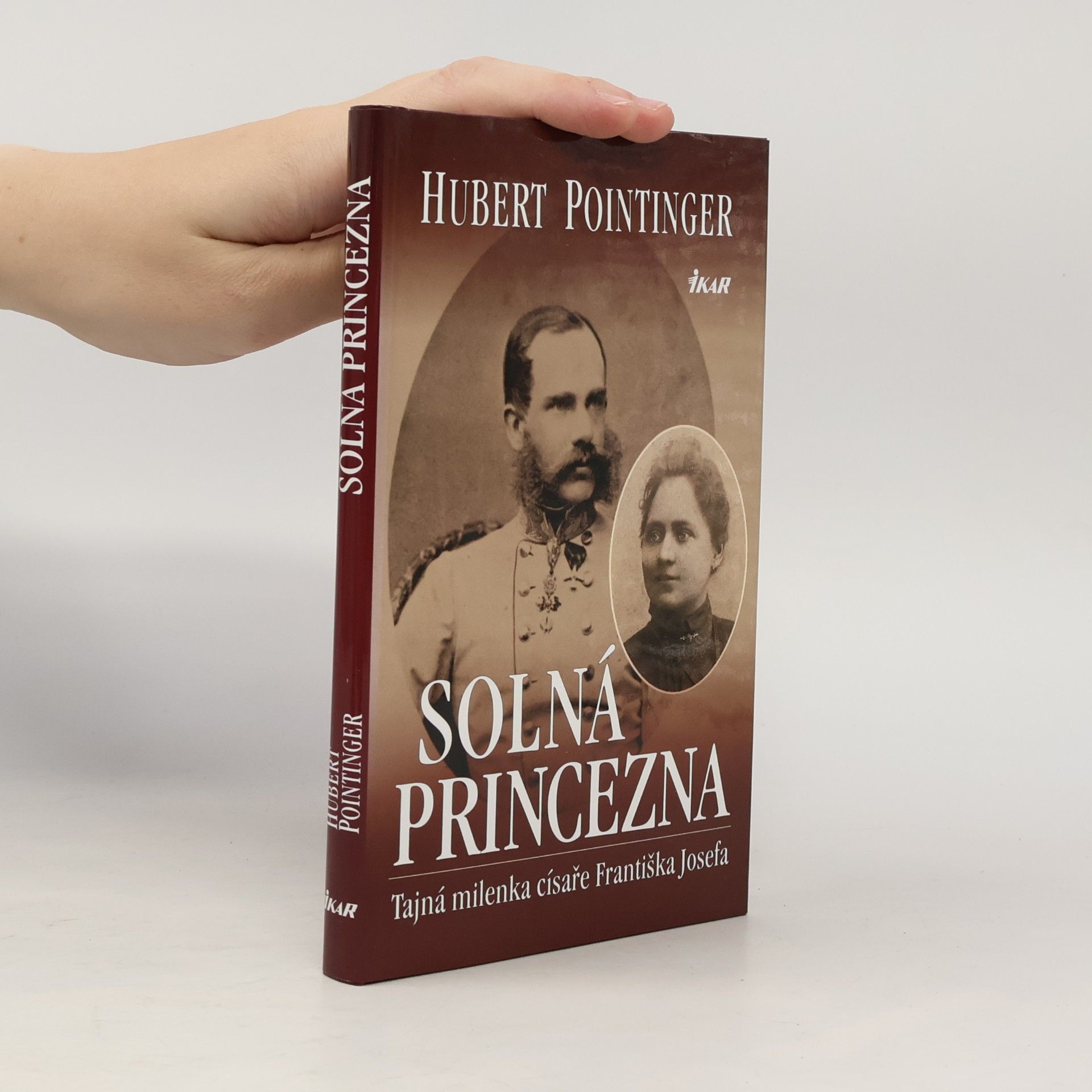 Hubert Pointinger Solná princezna