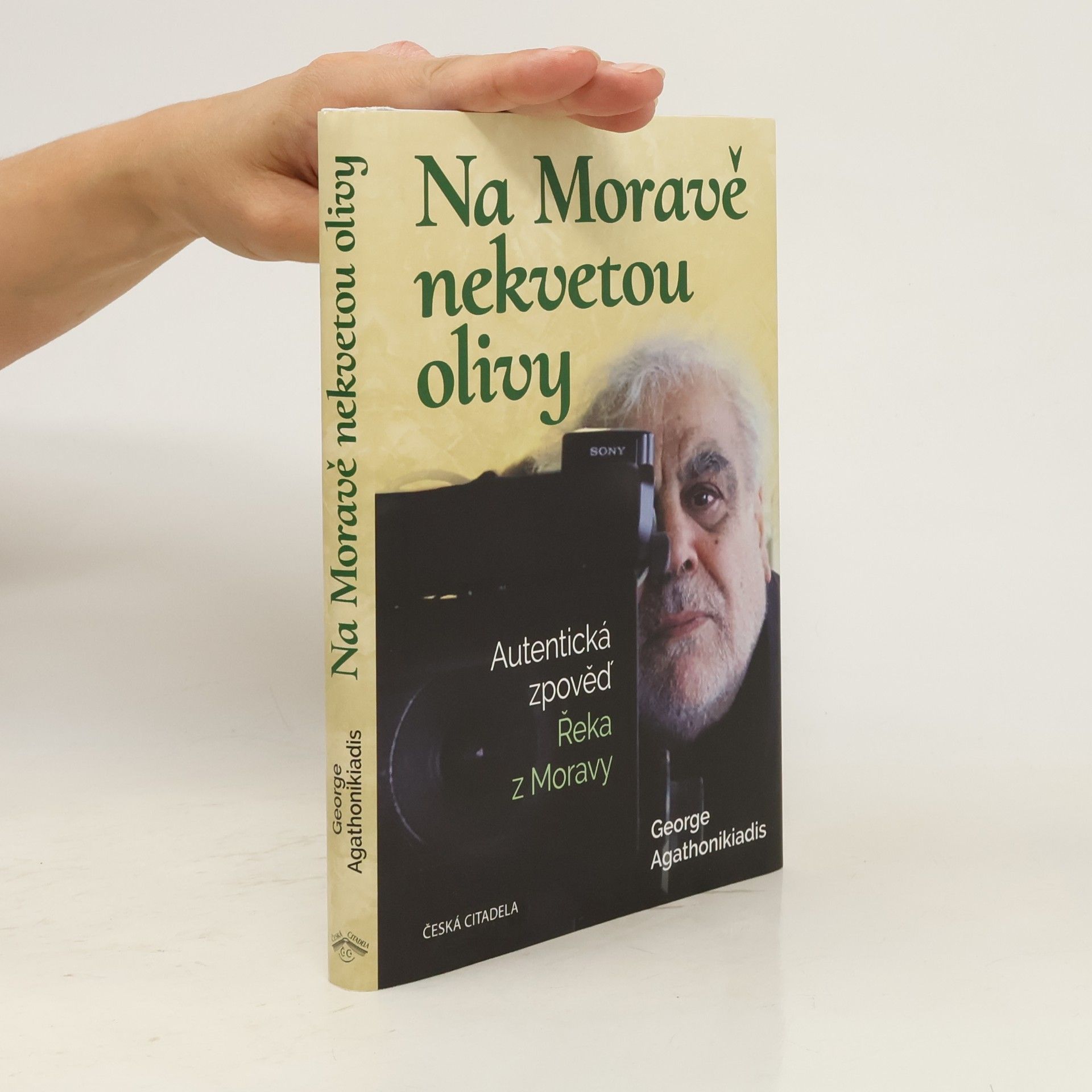 Na Moravě nekvetou olivy