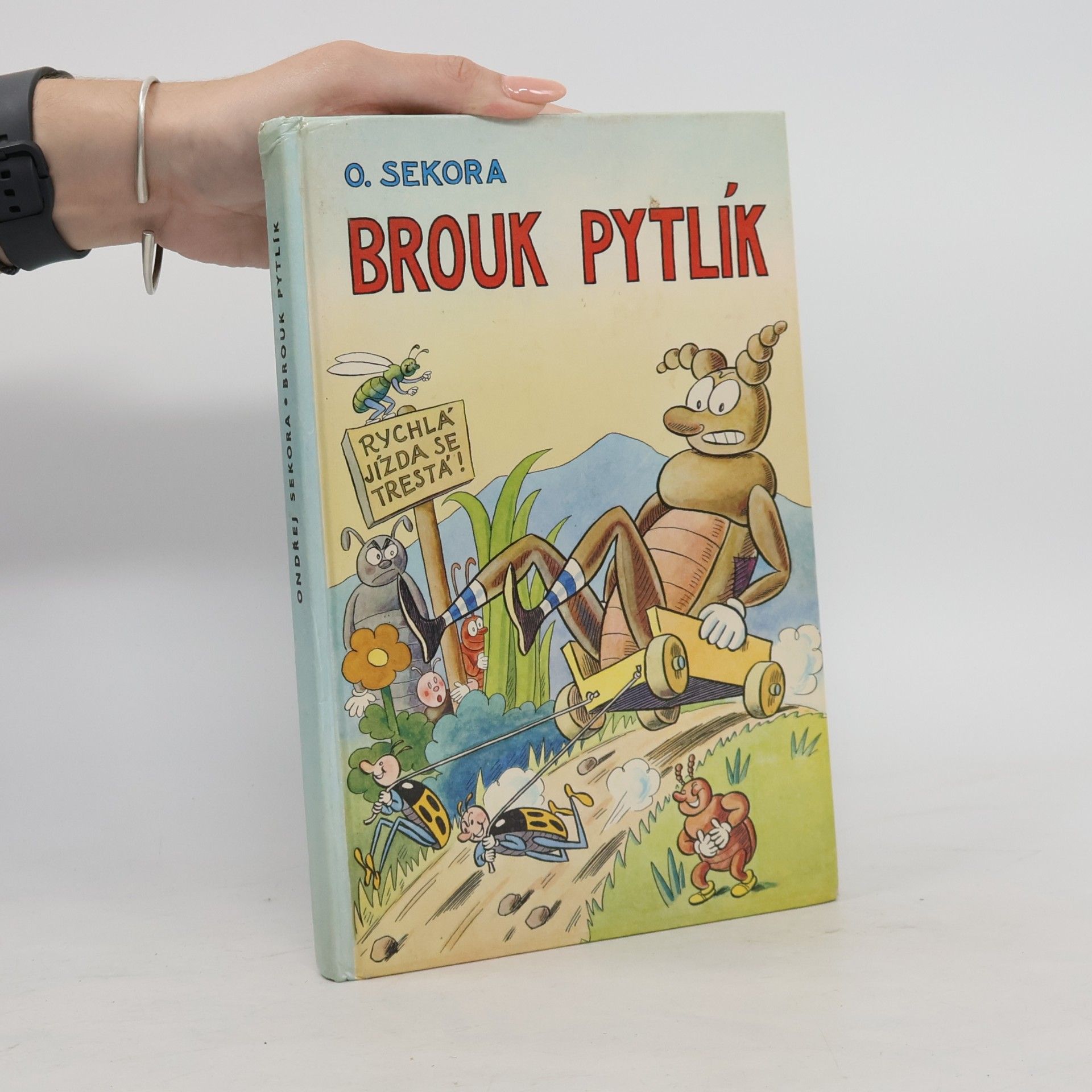 Ondřej Sekora Brouk Pytlík