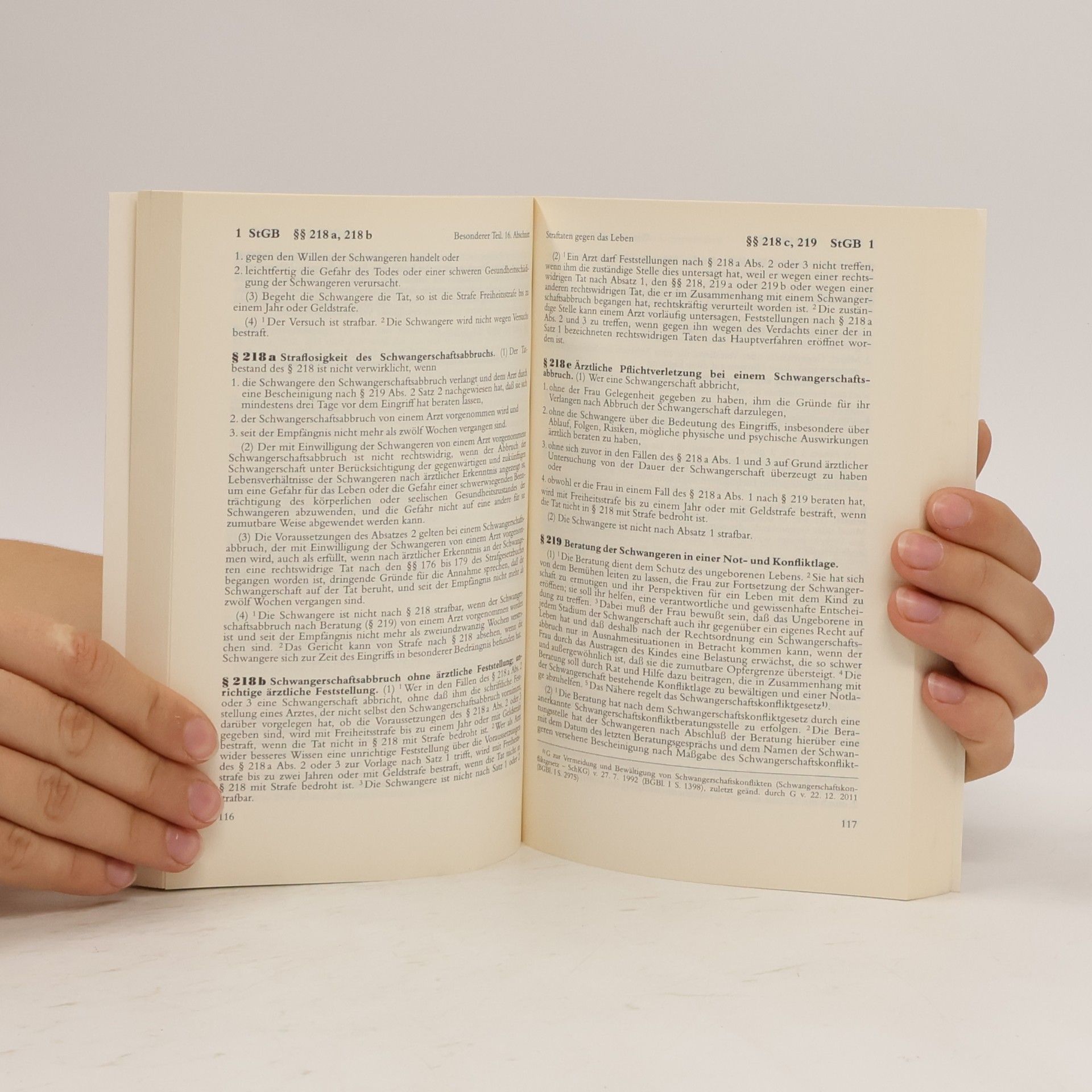 AA.VV. Strafgesetzbuch