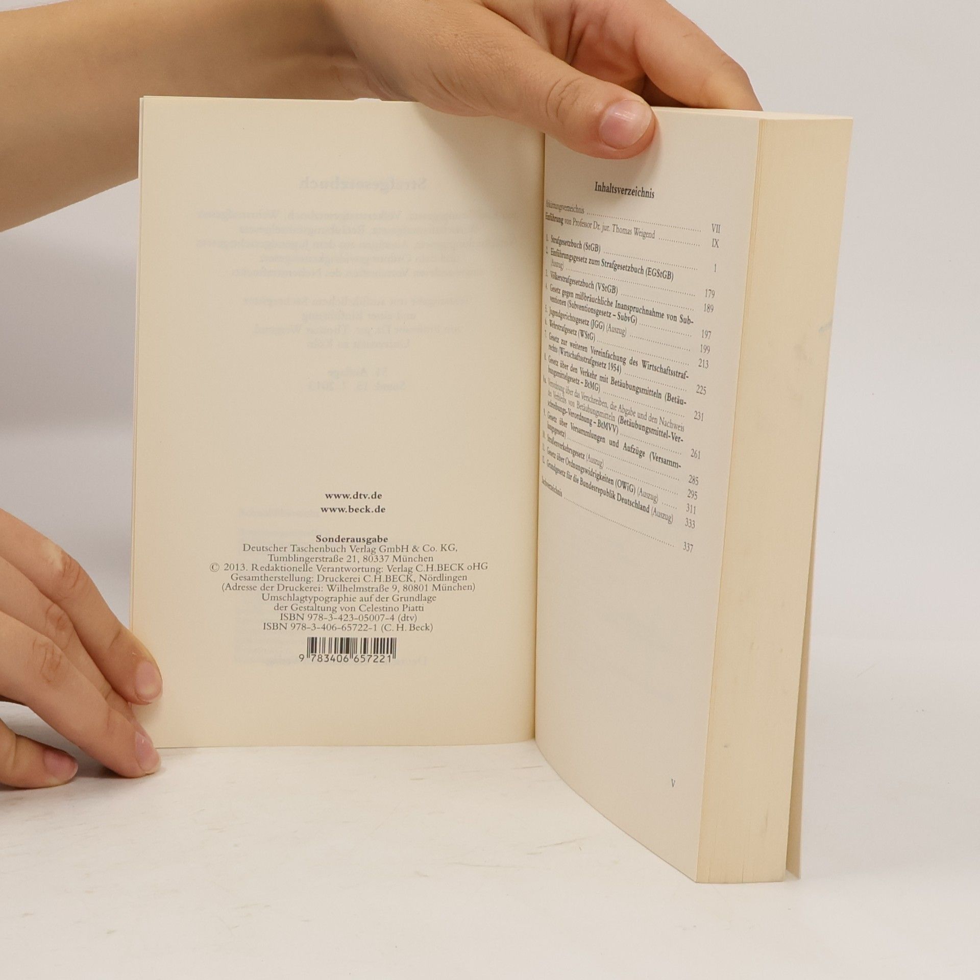 AA.VV. Strafgesetzbuch