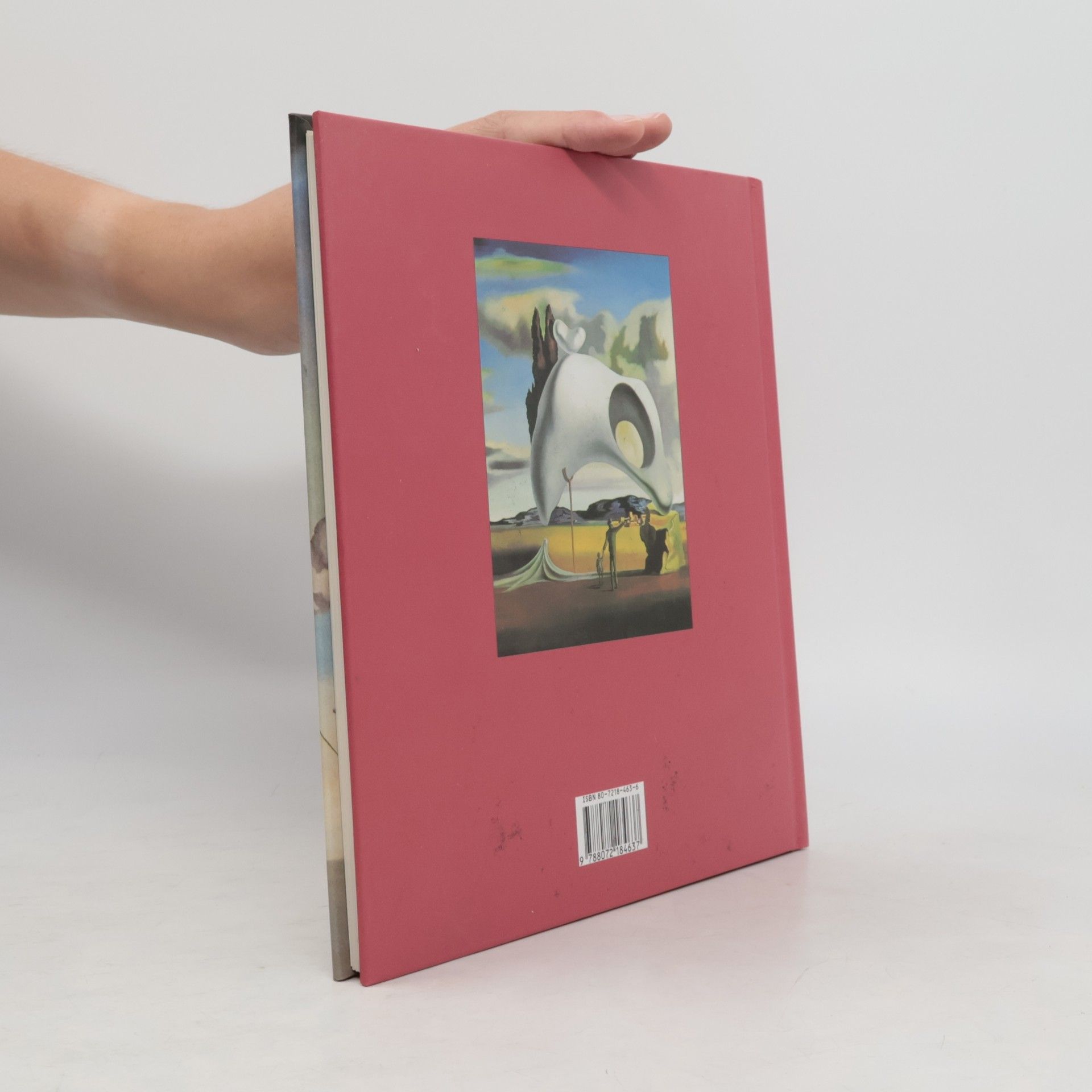 Autorenkollektiv Dalí Salvador