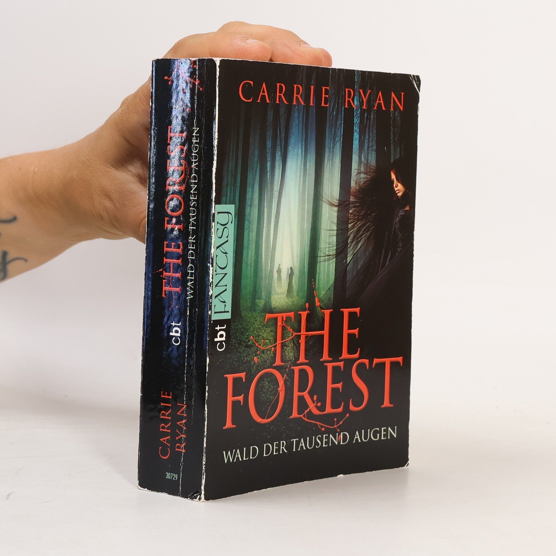 Carrie Ryan The Forest
